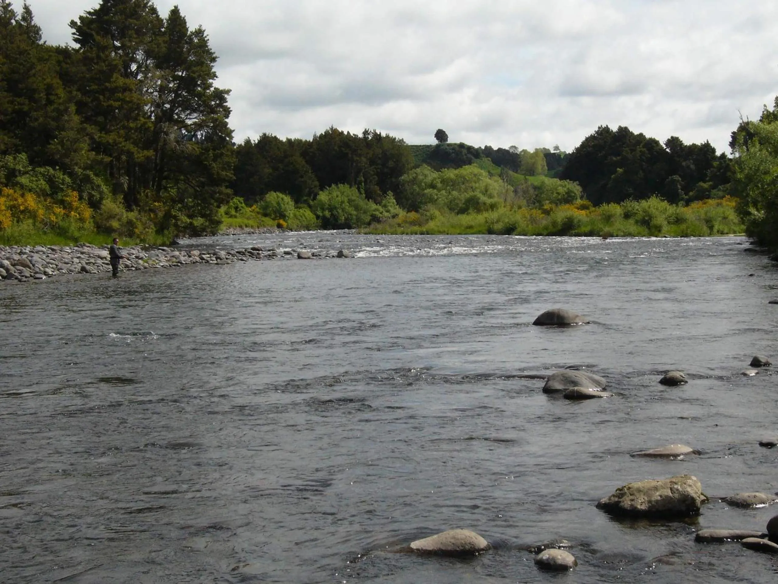 Nearby landmark in Magpie Cottage Homestay Bed & Breakfast