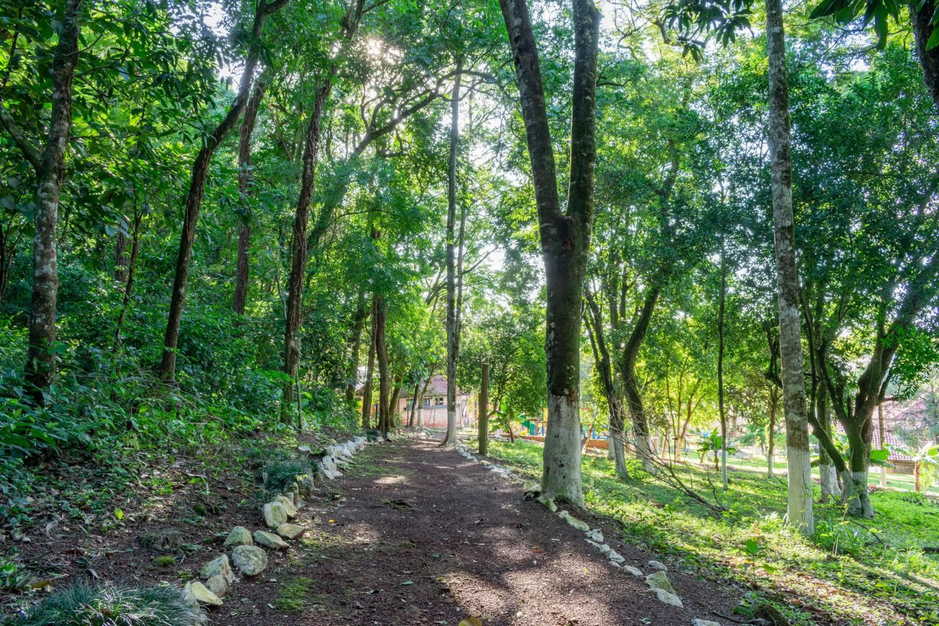 Hiking in Hotel Colonial Iguaçu