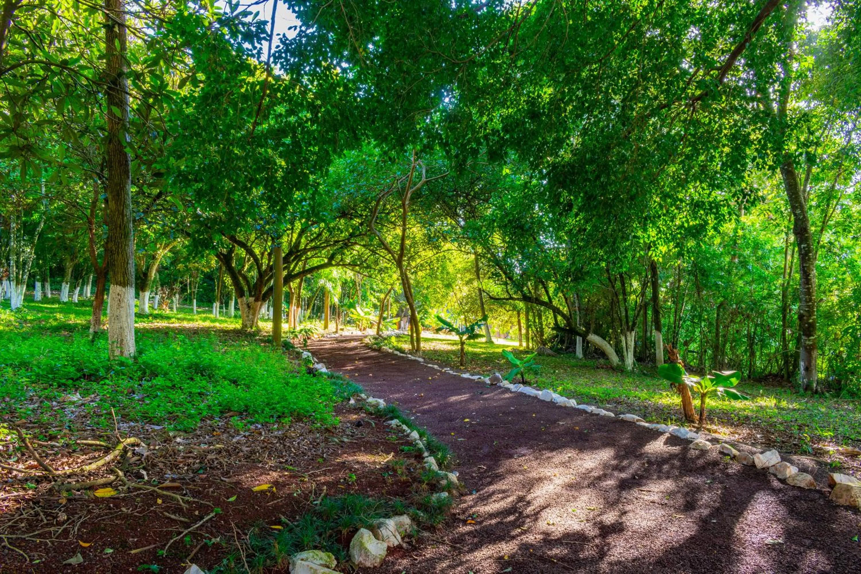Hiking in Hotel Colonial Iguaçu