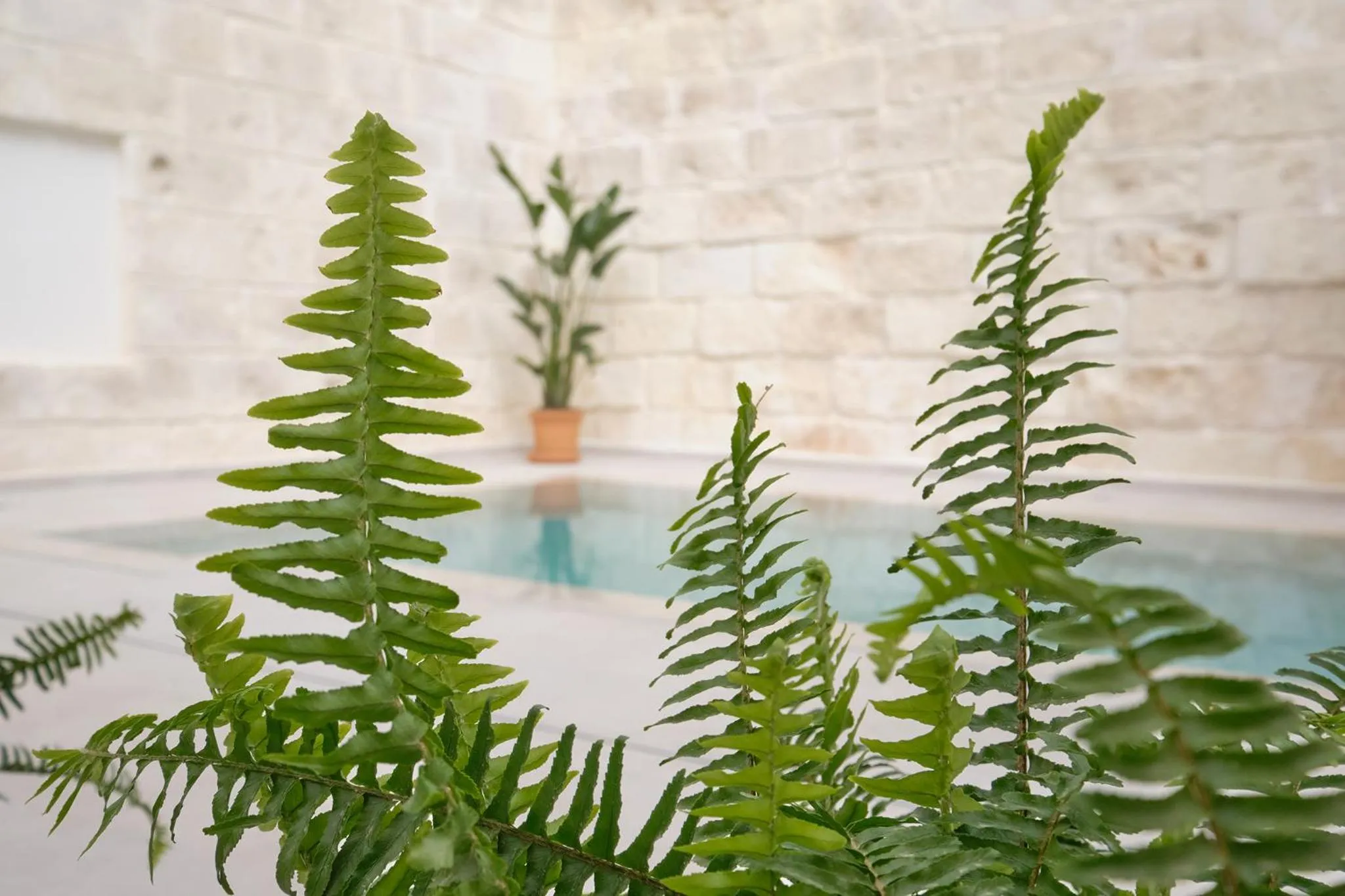 Patio in Ca Sa Pagesa - Adults only