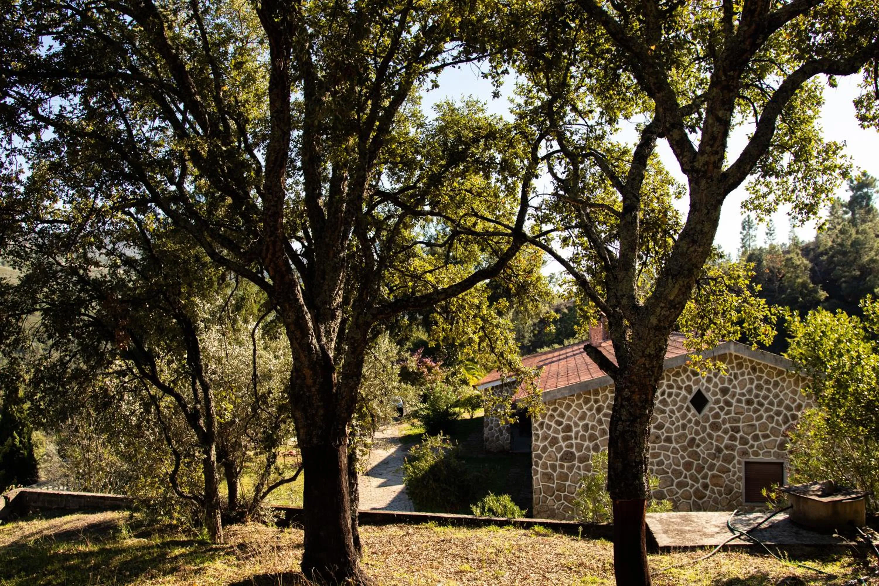 Off site in Quinta dos Sinçais