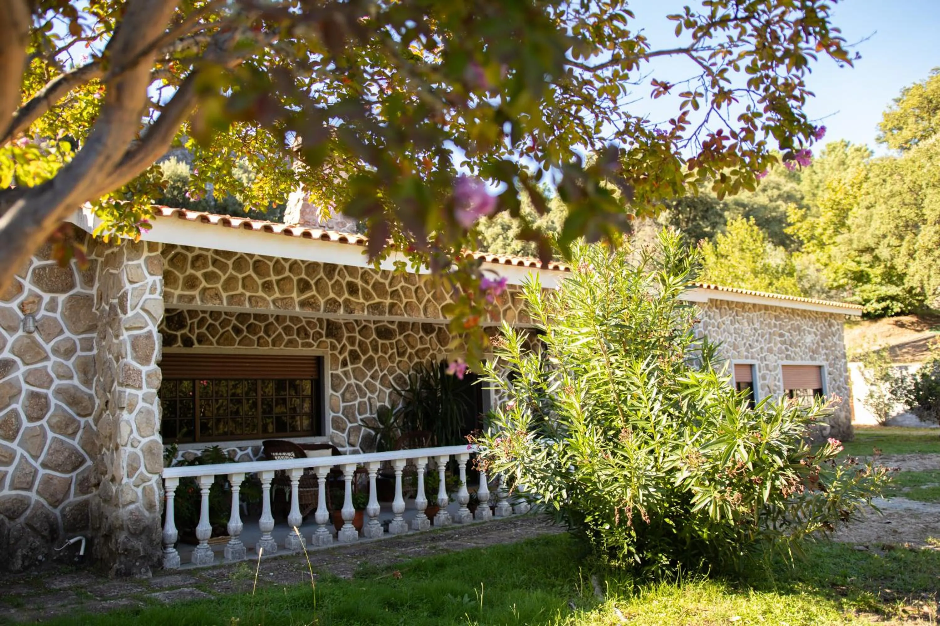 Property building in Quinta dos Sinçais