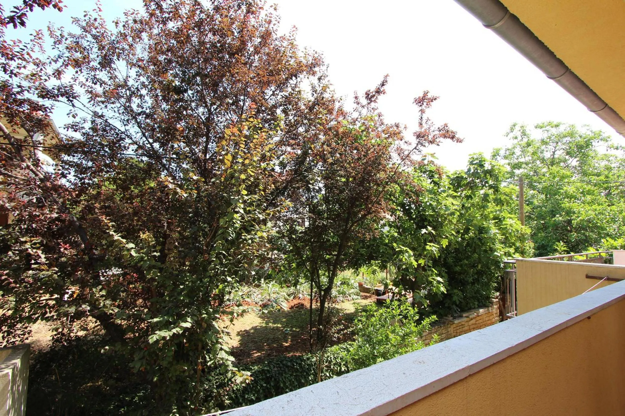 Garden view in Apartments Lora