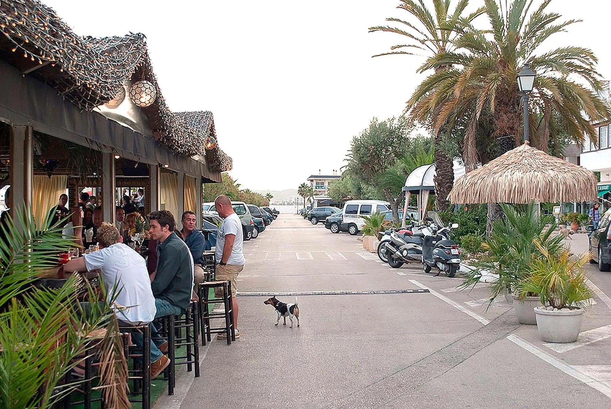 People in Apartment Oscar