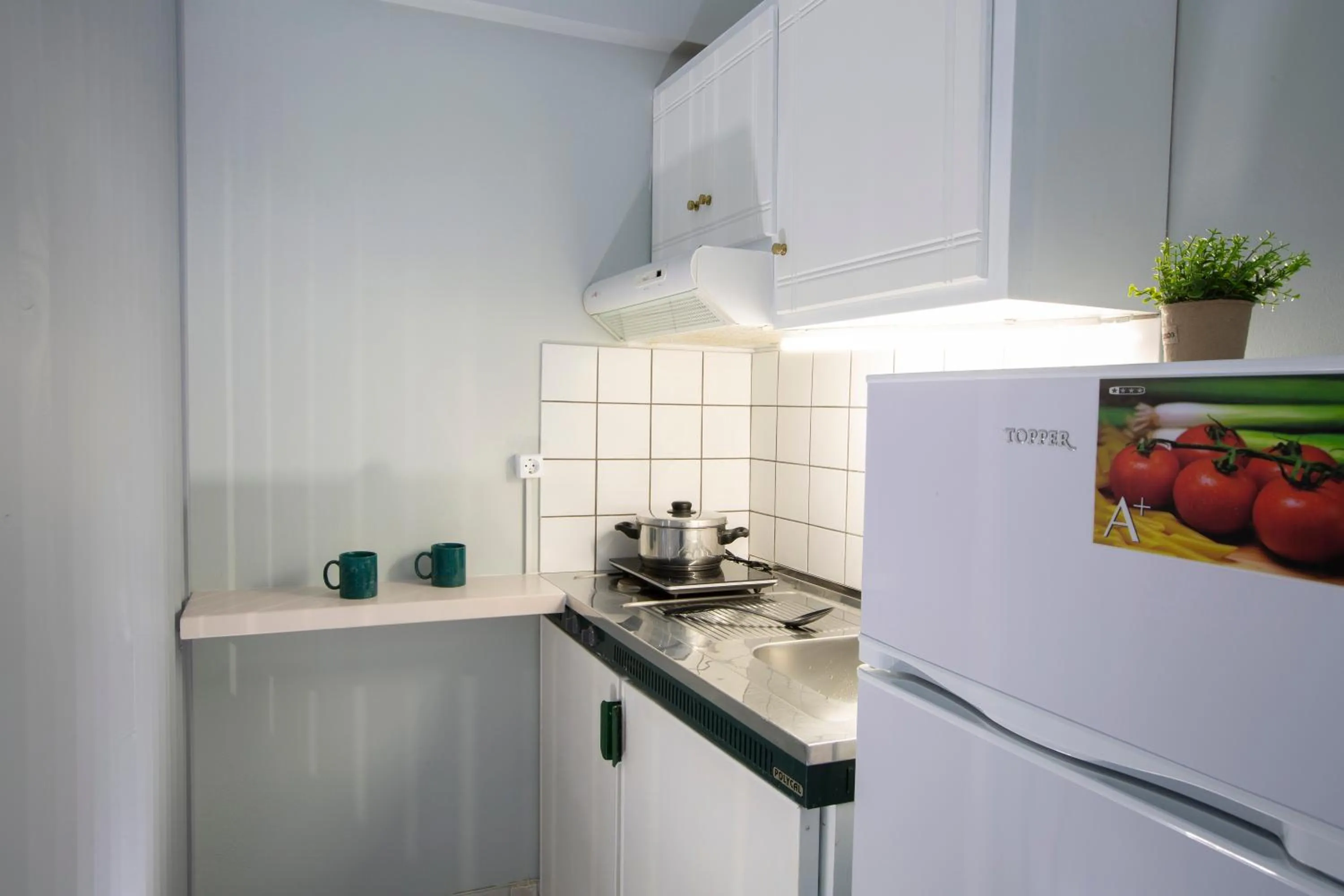 Kitchen or kitchenette in Captain Nick Aparthotel