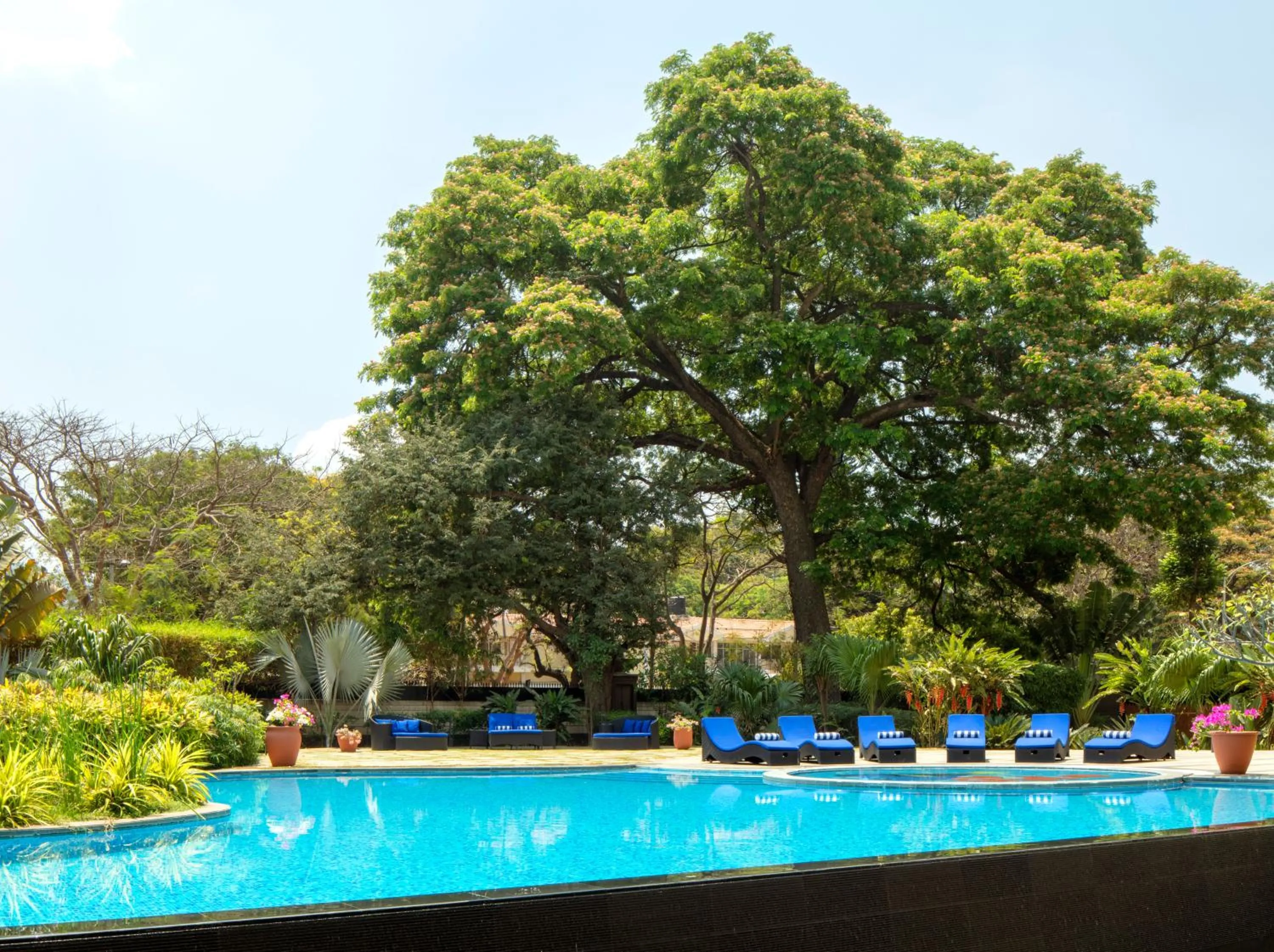 Swimming pool in Radisson Blu Plaza Hotel Mysore
