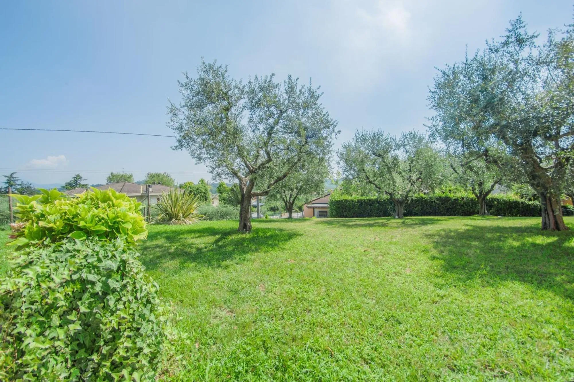 Natural landscape in B&B Il Tramonto