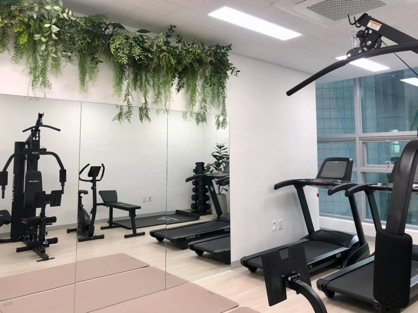 Activities in Golden Planet Hotel-Pyeongtaek Godeck