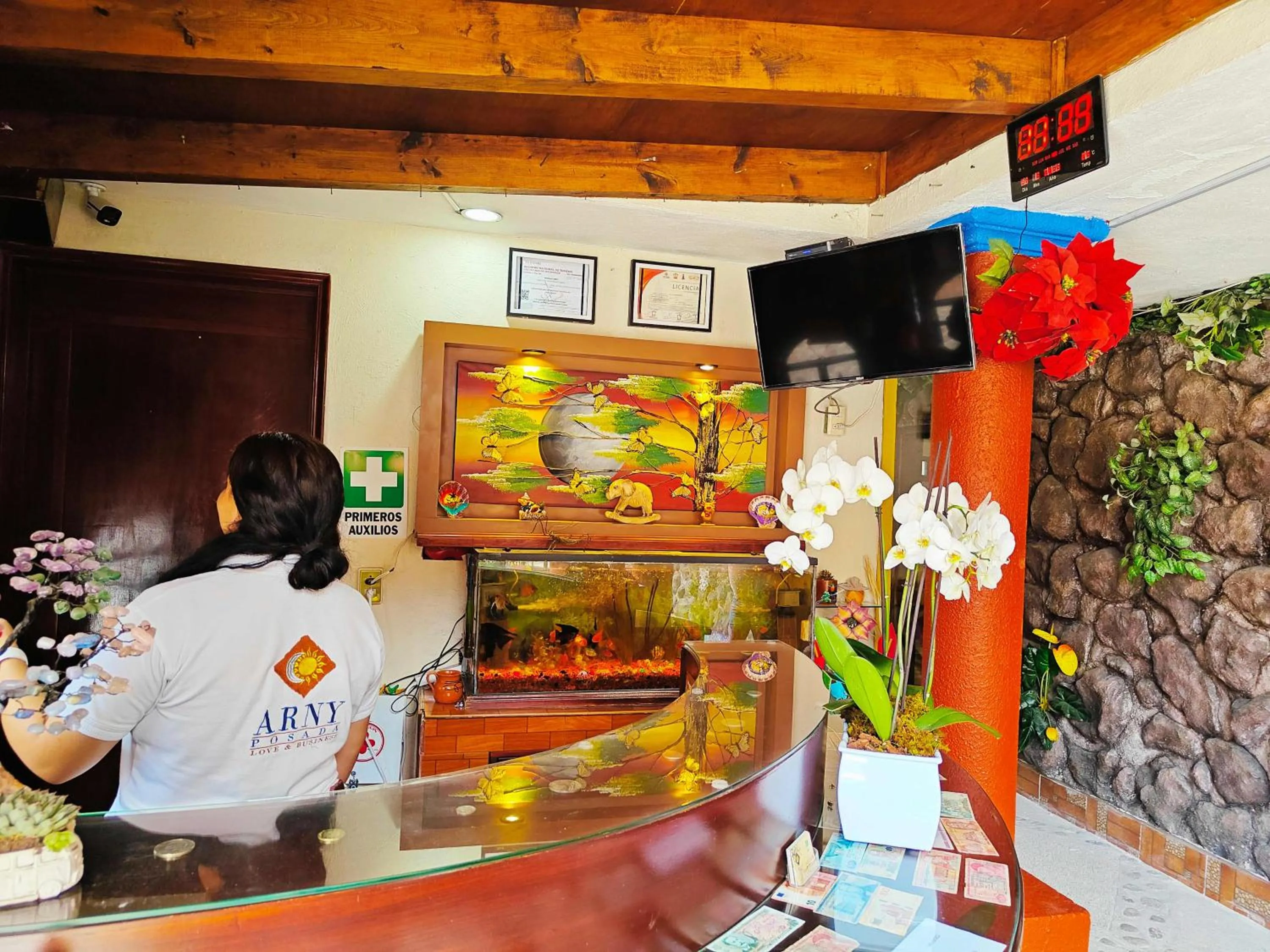 Lobby or reception in Posada Arny