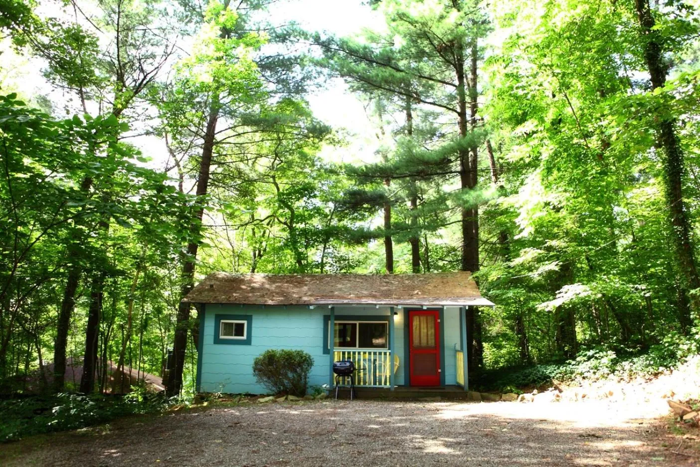 Street view in The Pines Cottages