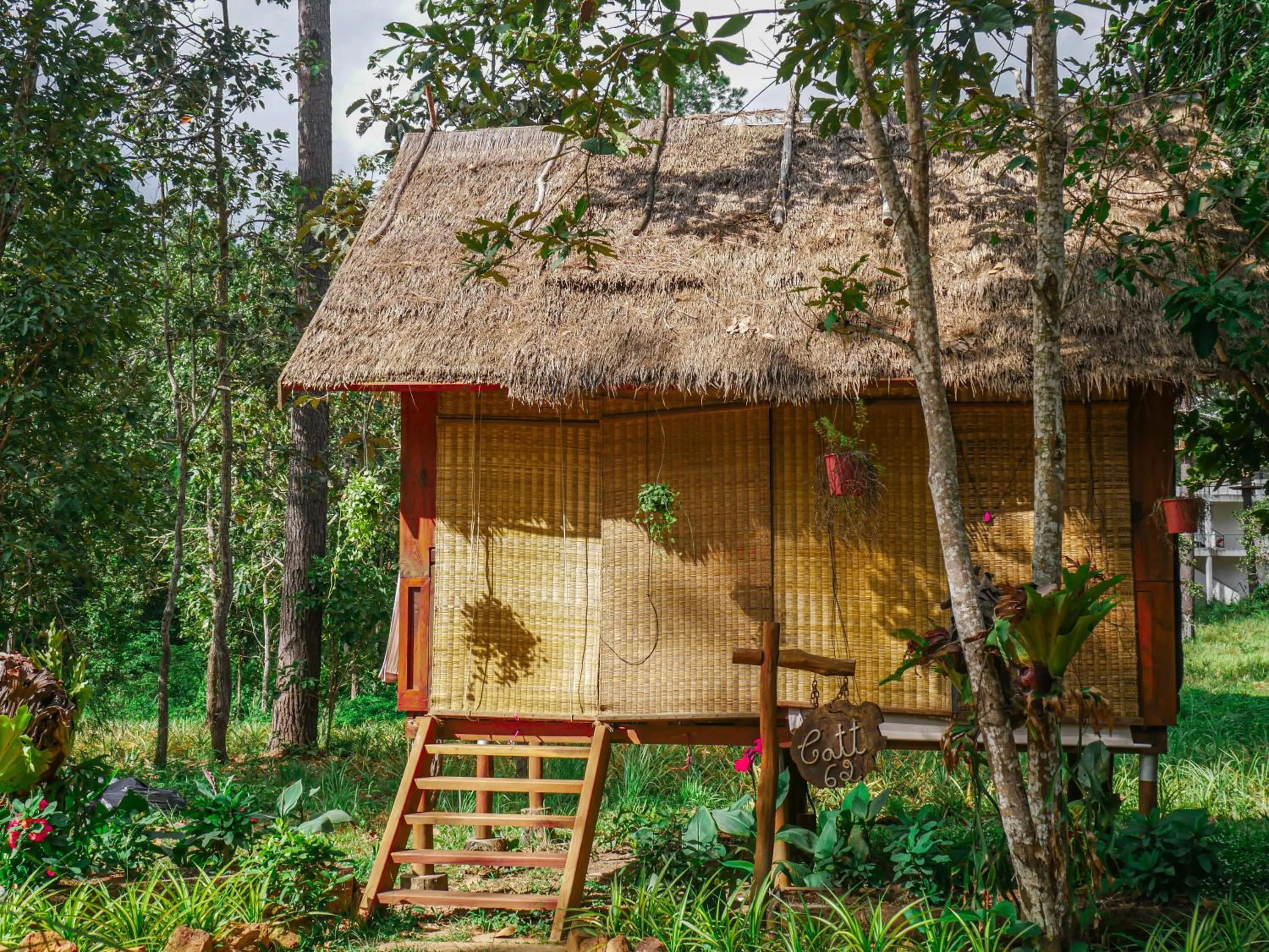 Property building in vKirirom Pine Resort