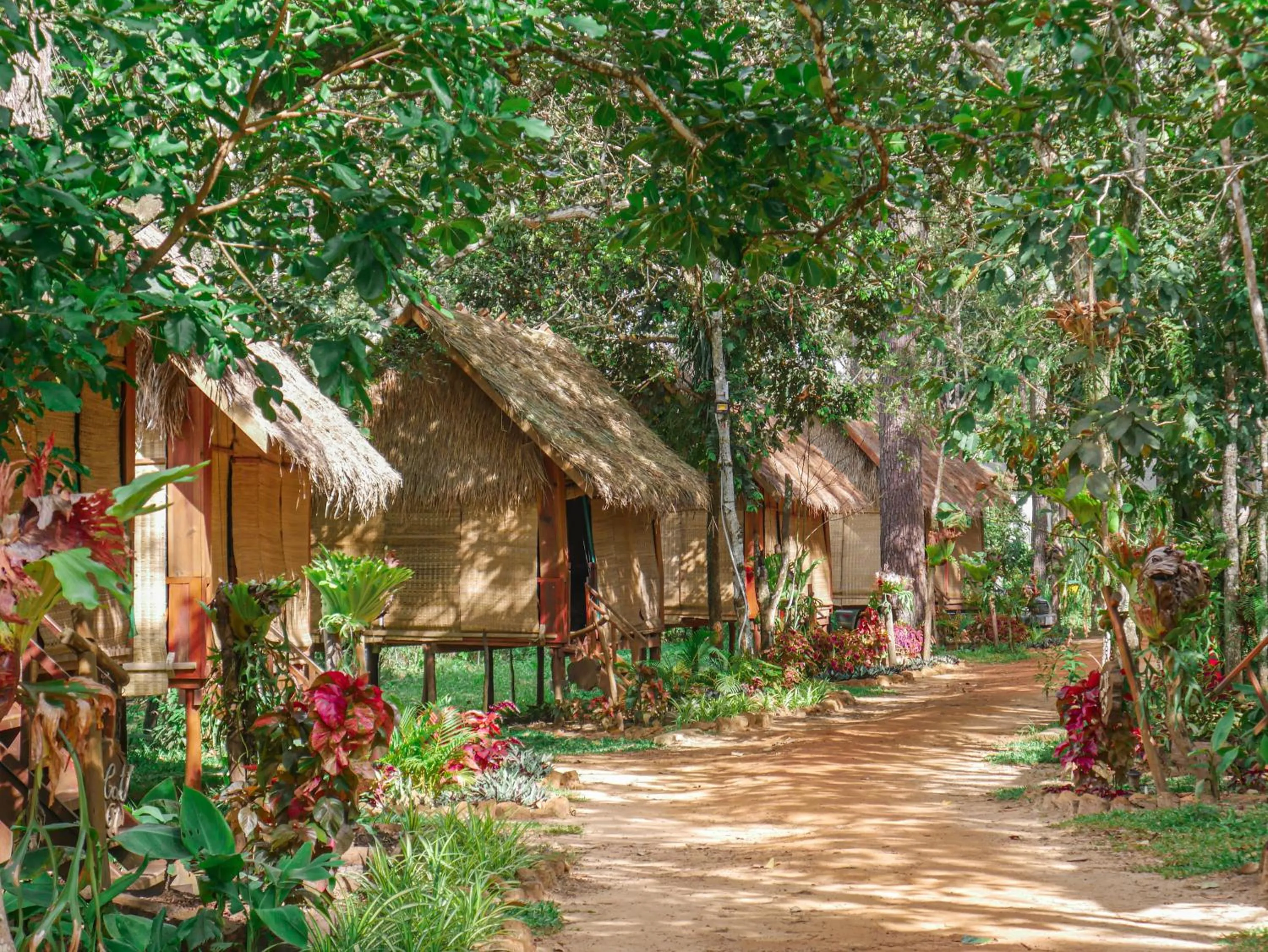 Property building in vKirirom Pine Resort