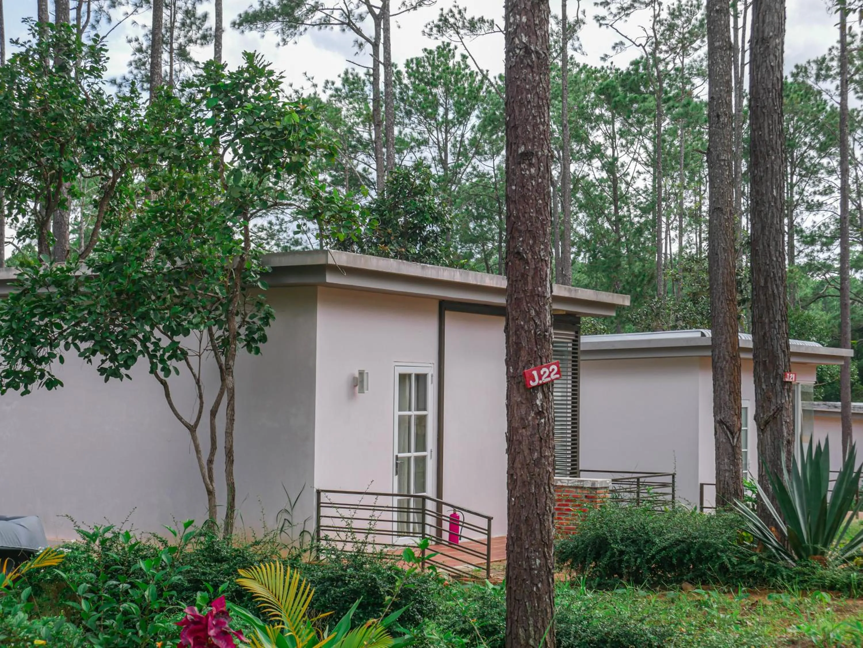 Property building in vKirirom Pine Resort