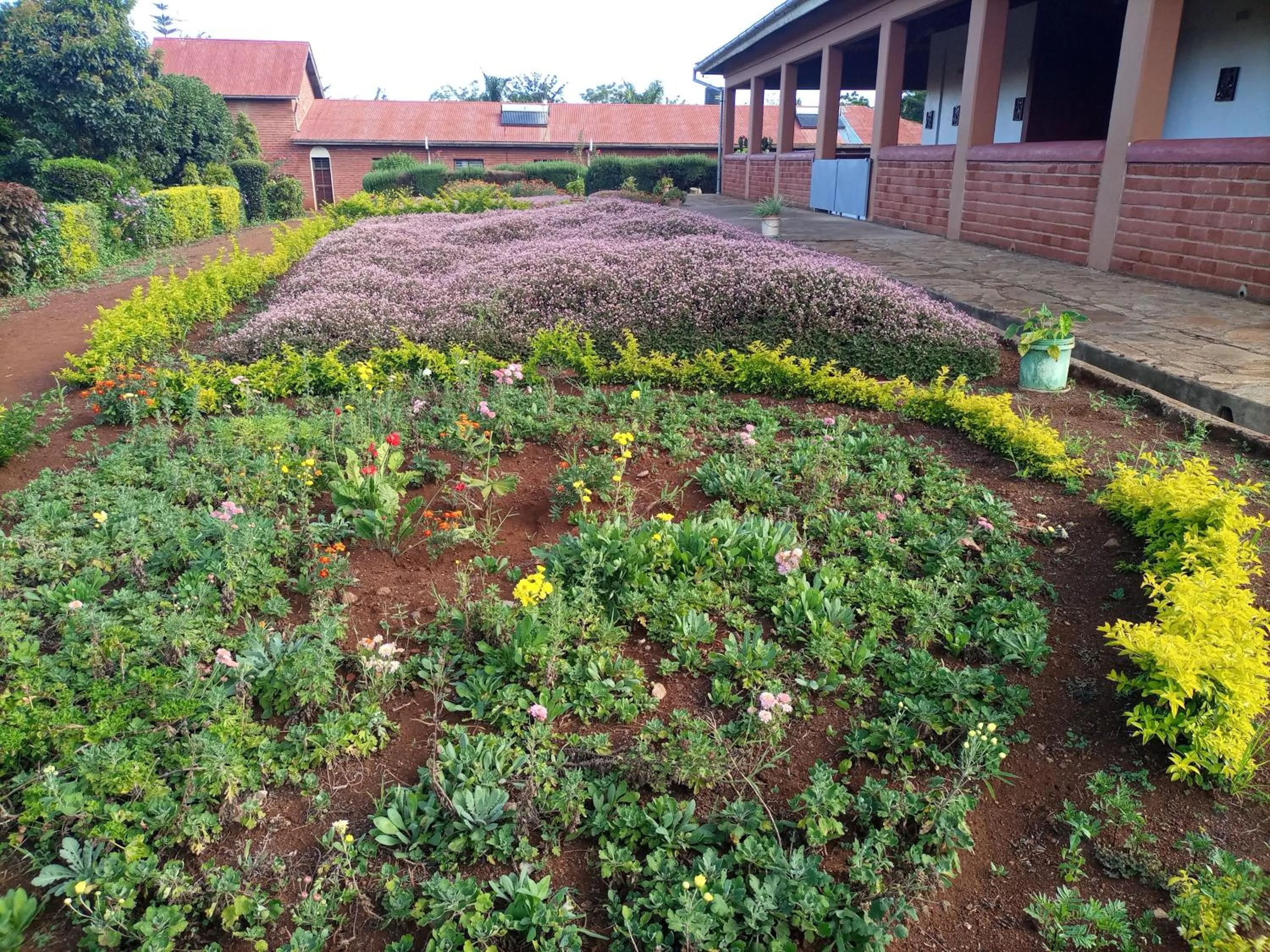Property building in STC.SAFARI LODGE