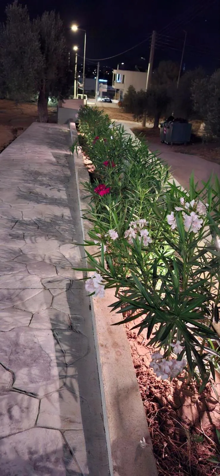 AIR-IN Rooms with magnificent views