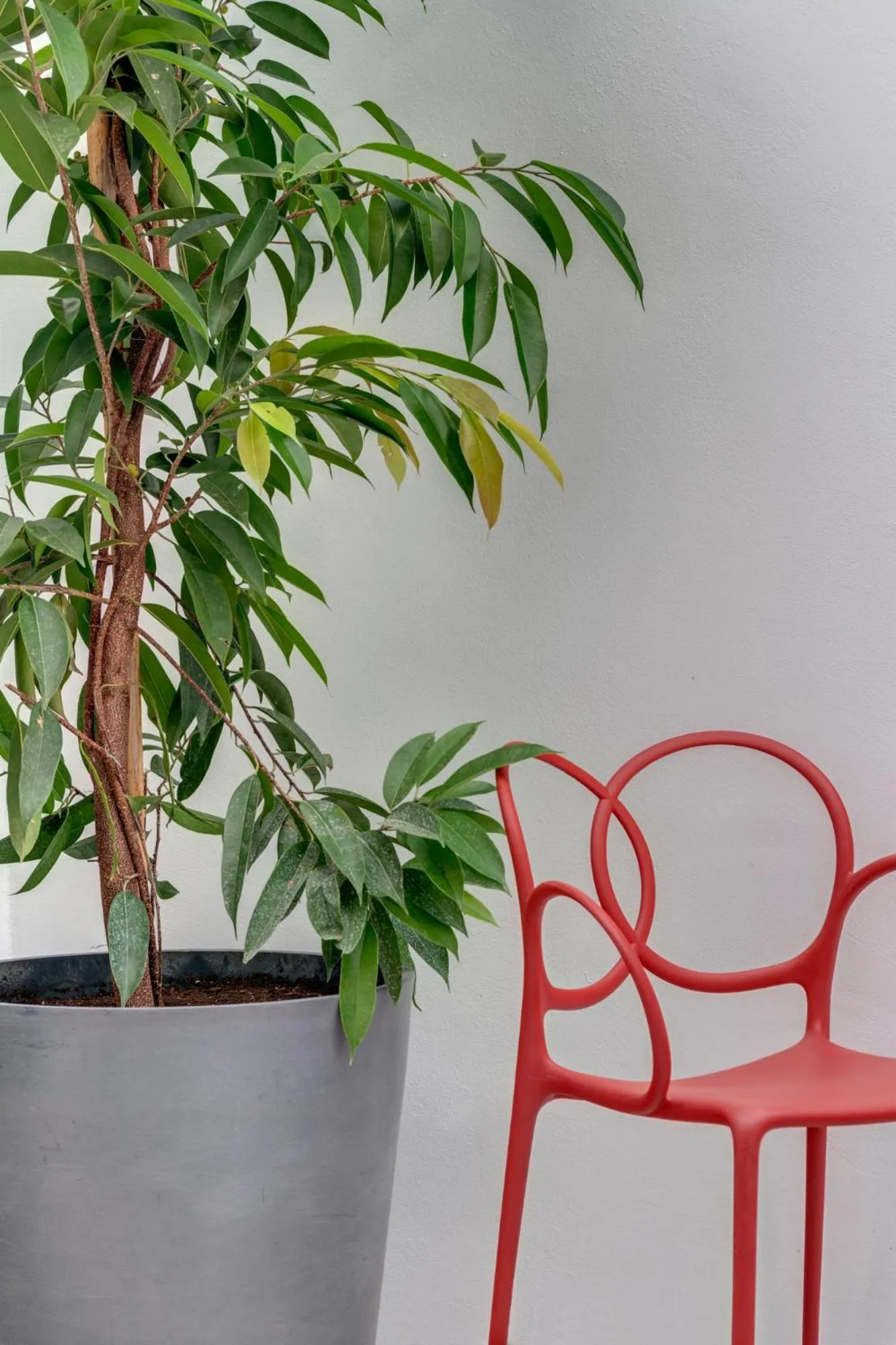 Decorative detail in Skylight