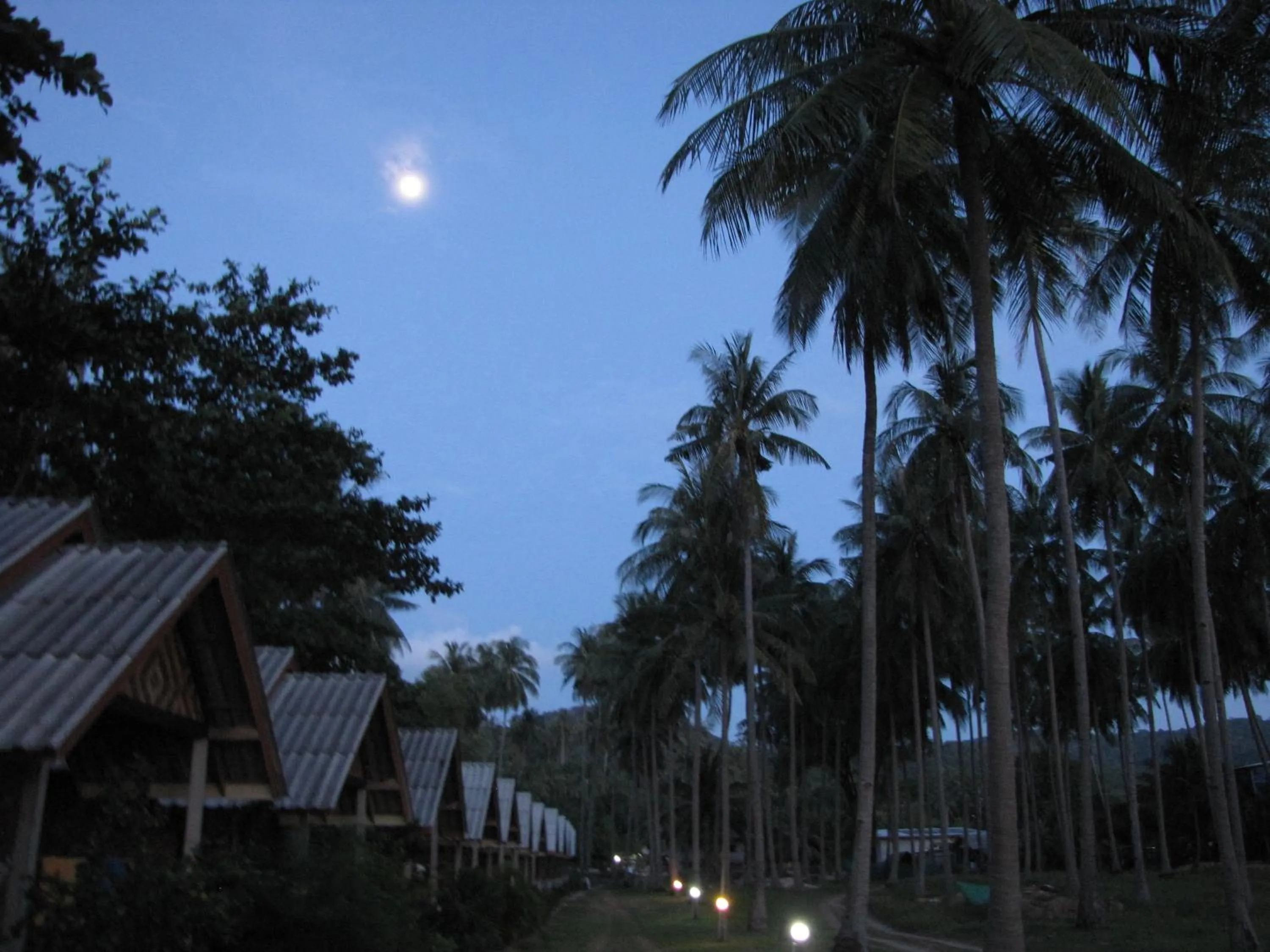 Night in Green Chilli Bungalows