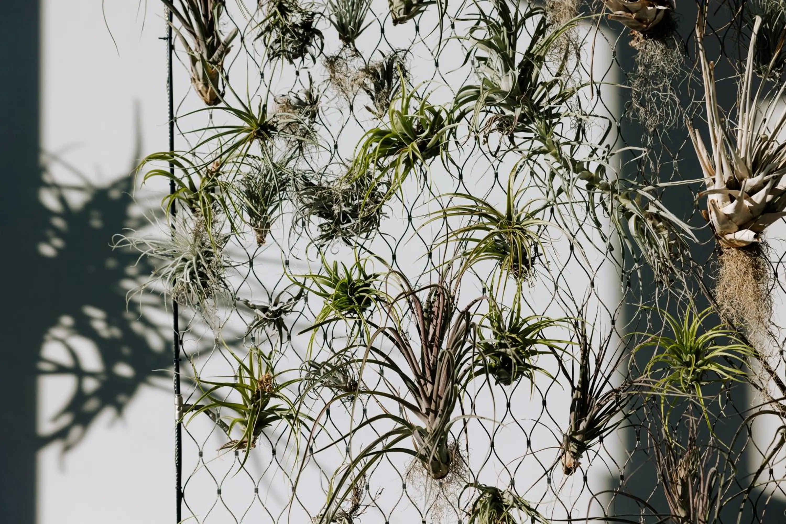 Natural landscape in CASCADA Thermal Springs & Hotel