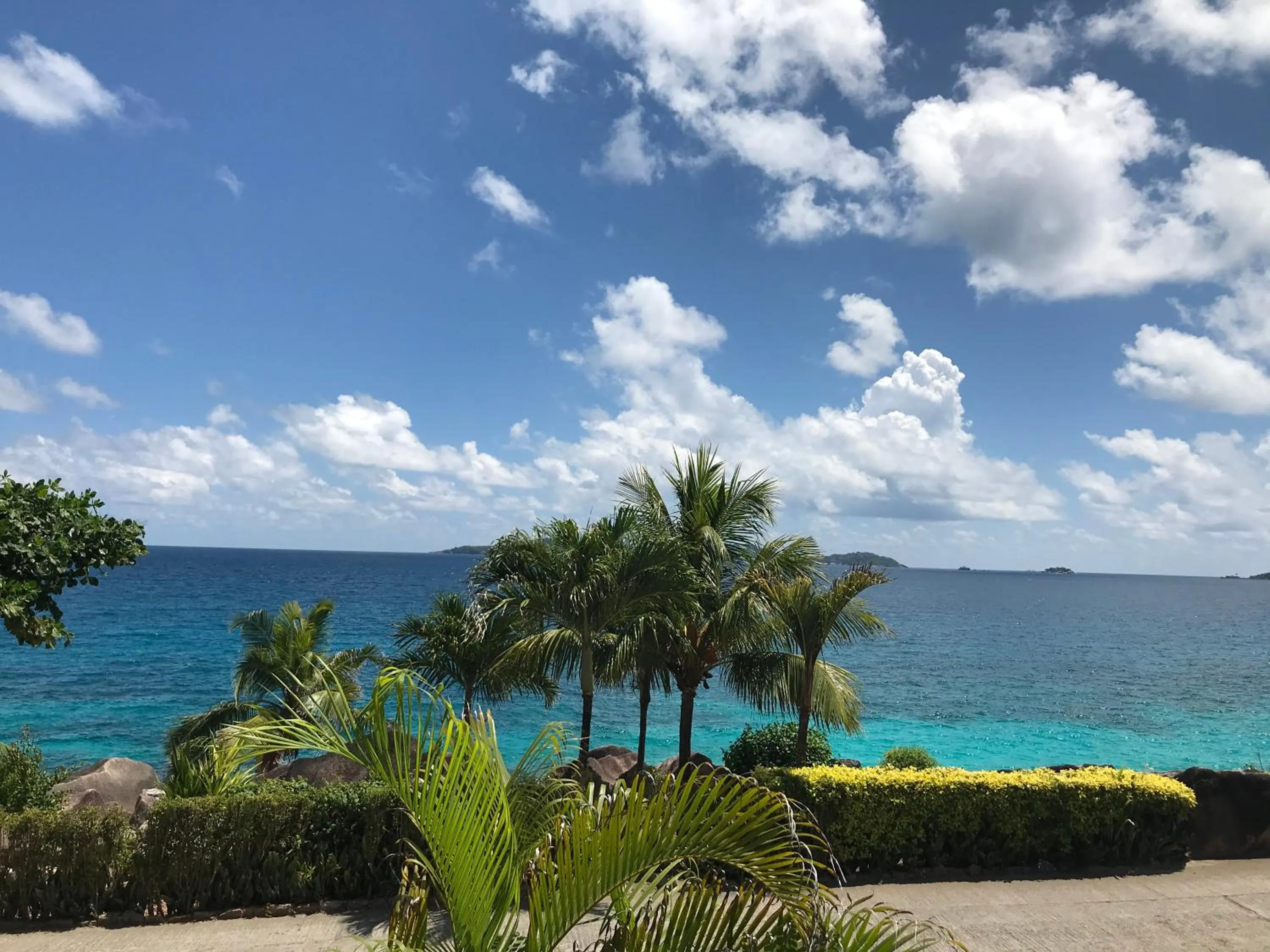 Natural landscape in Hotel L'Ocean