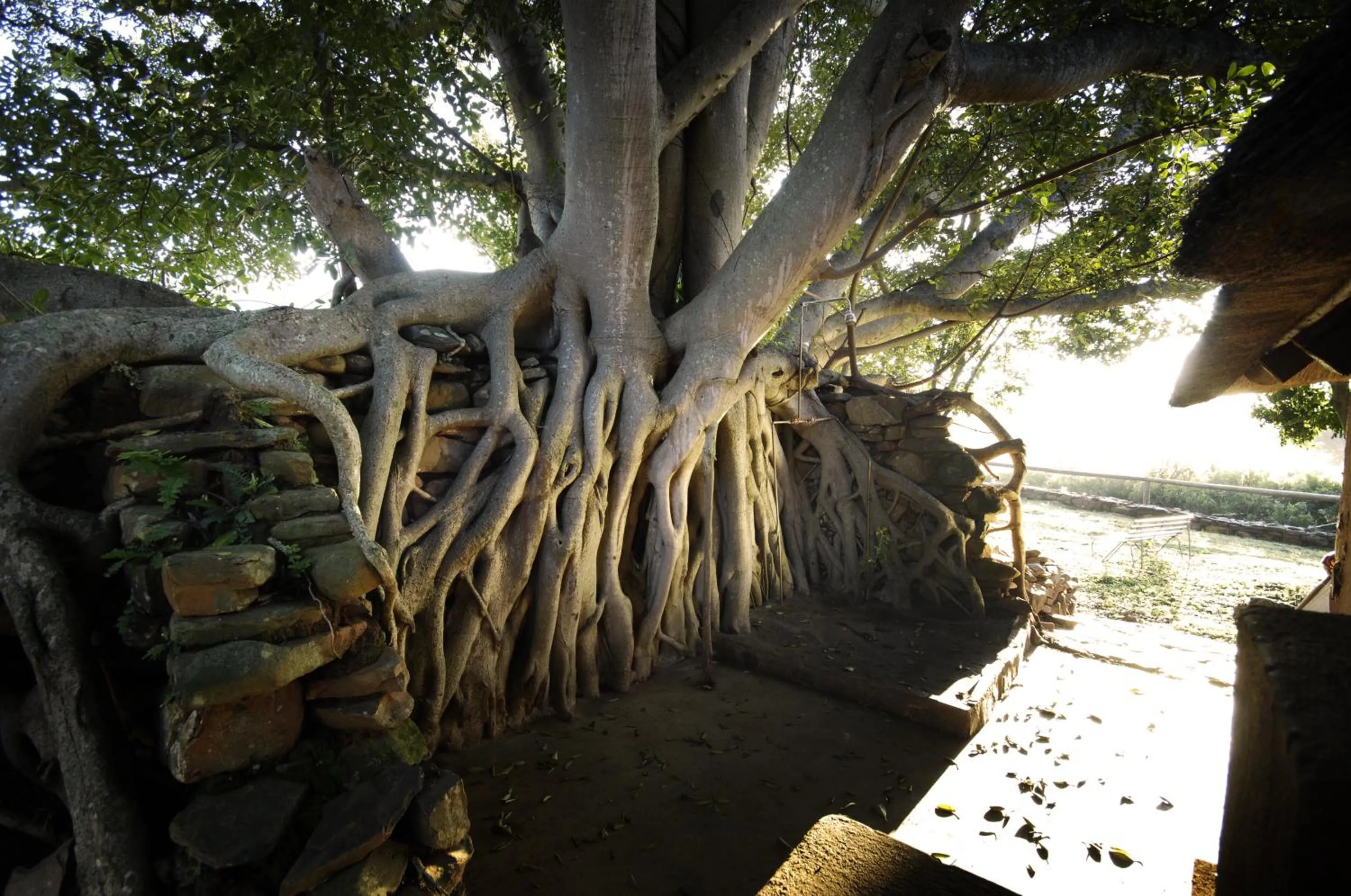 Shower in Caracal Lodge