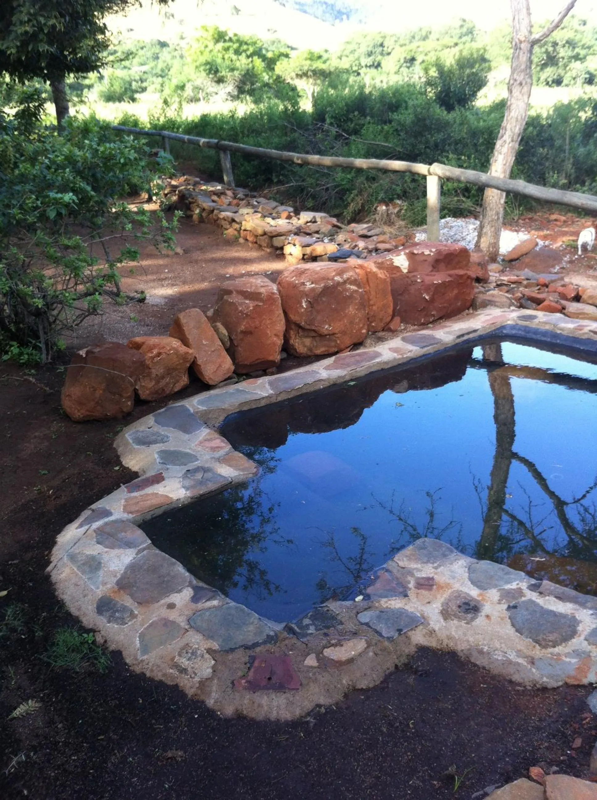 Swimming pool in Caracal Lodge