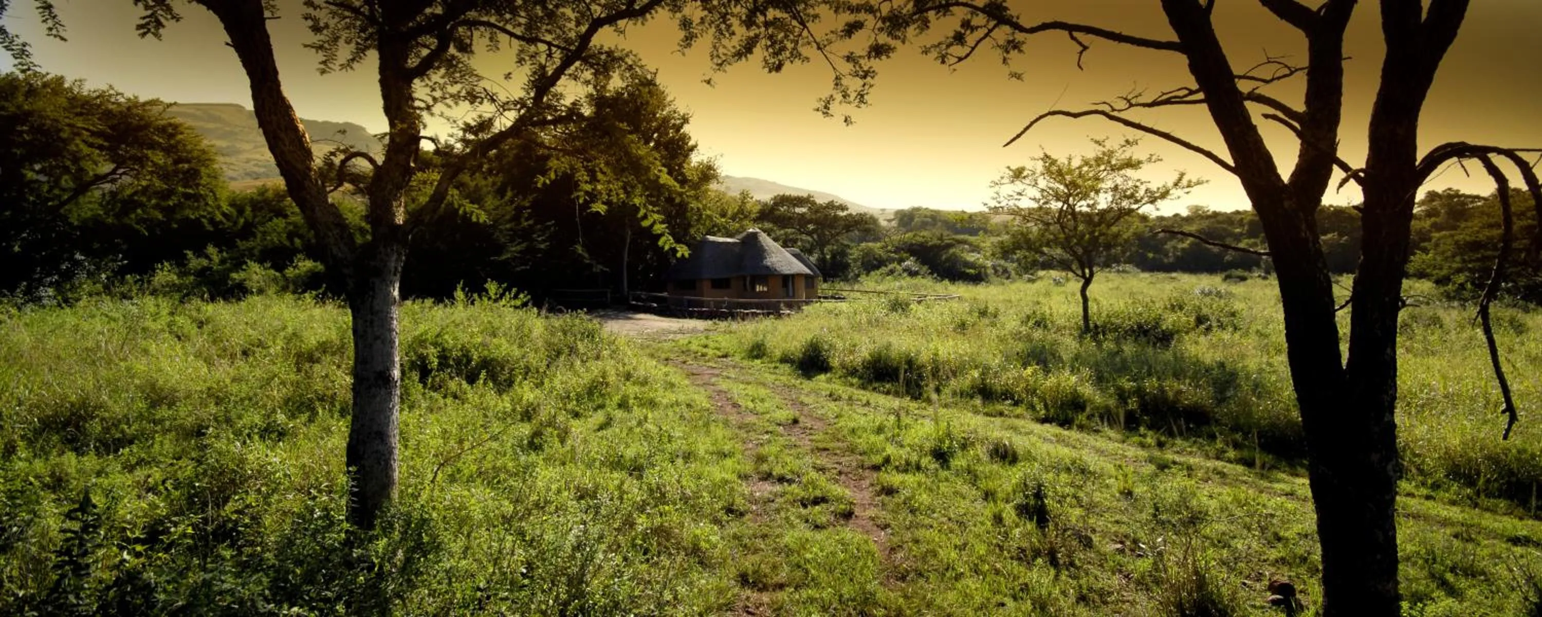 Natural landscape in Caracal Lodge