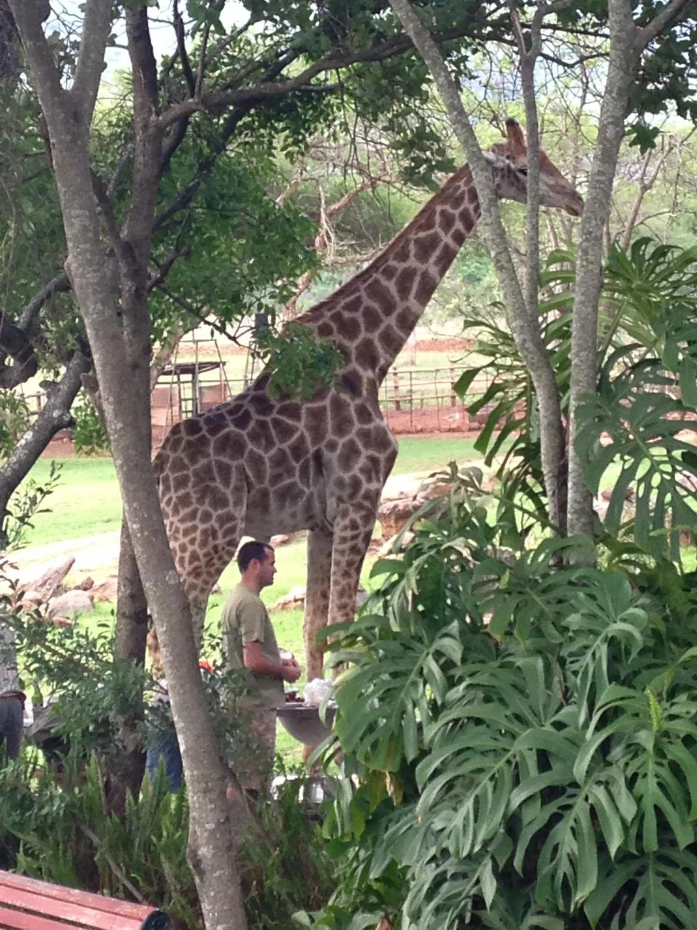 View (from property/room) in Caracal Lodge