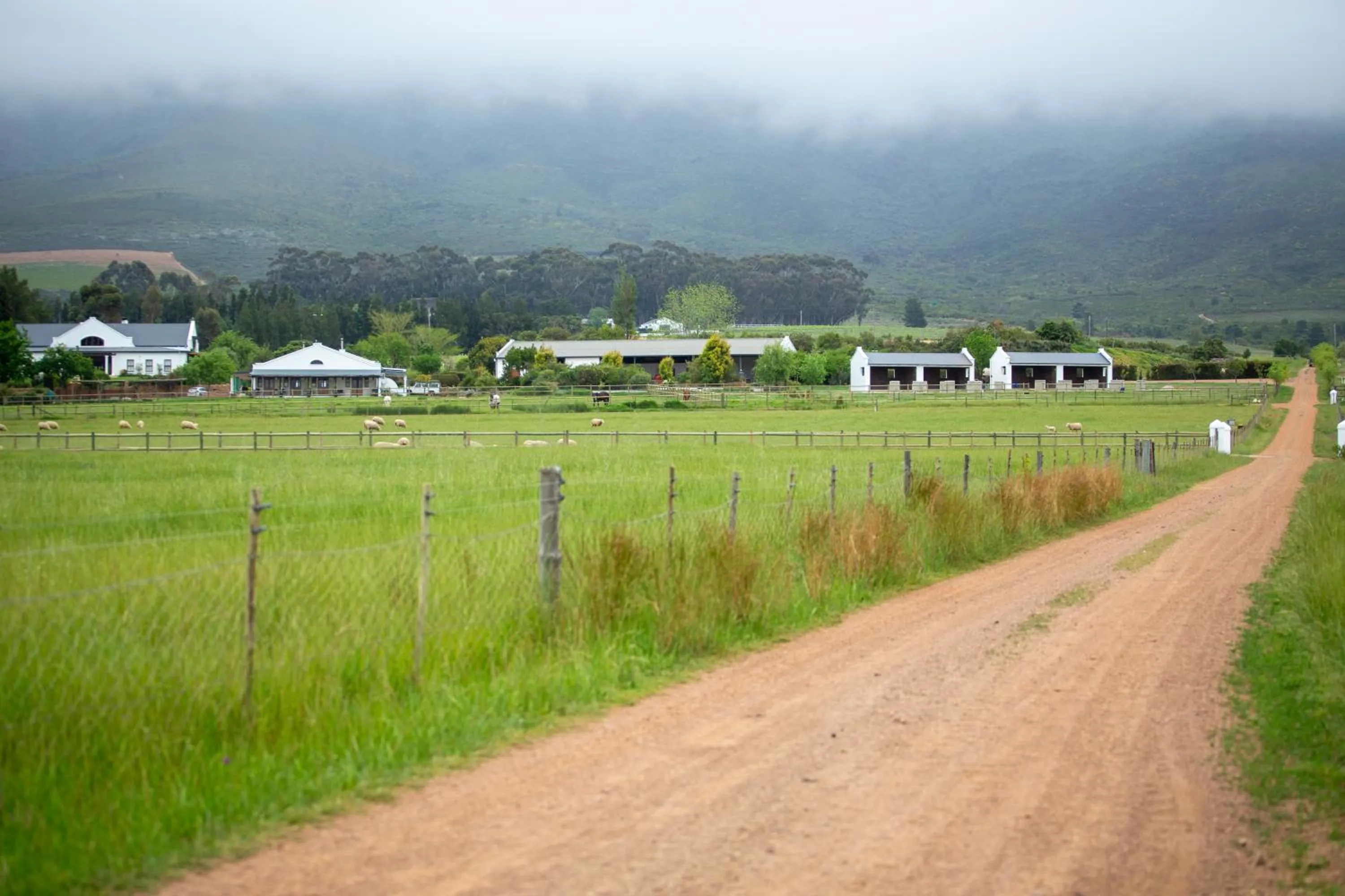 Natural landscape in Raptor Rise Farm