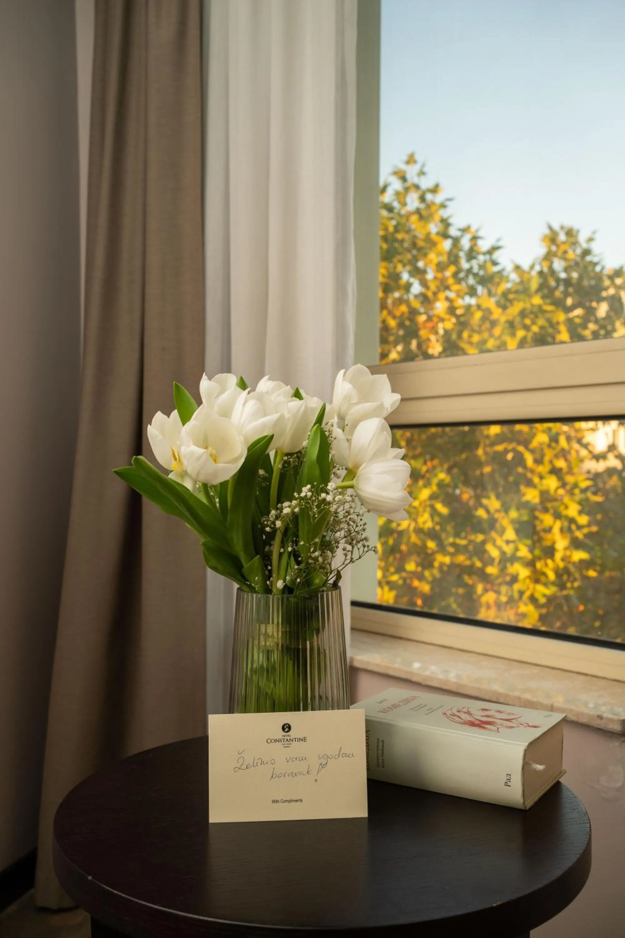 Seating area in Hotel Constantine the Great