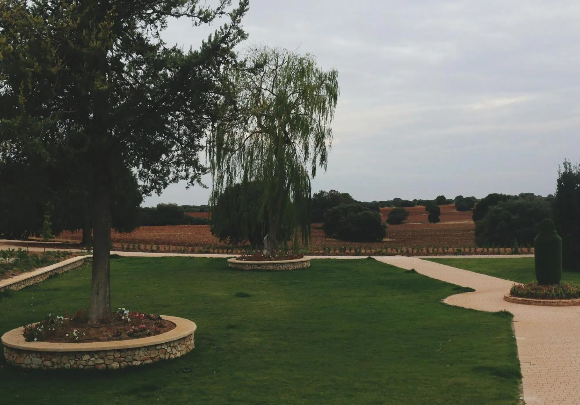 Garden view in Hotel Finca las Beatas