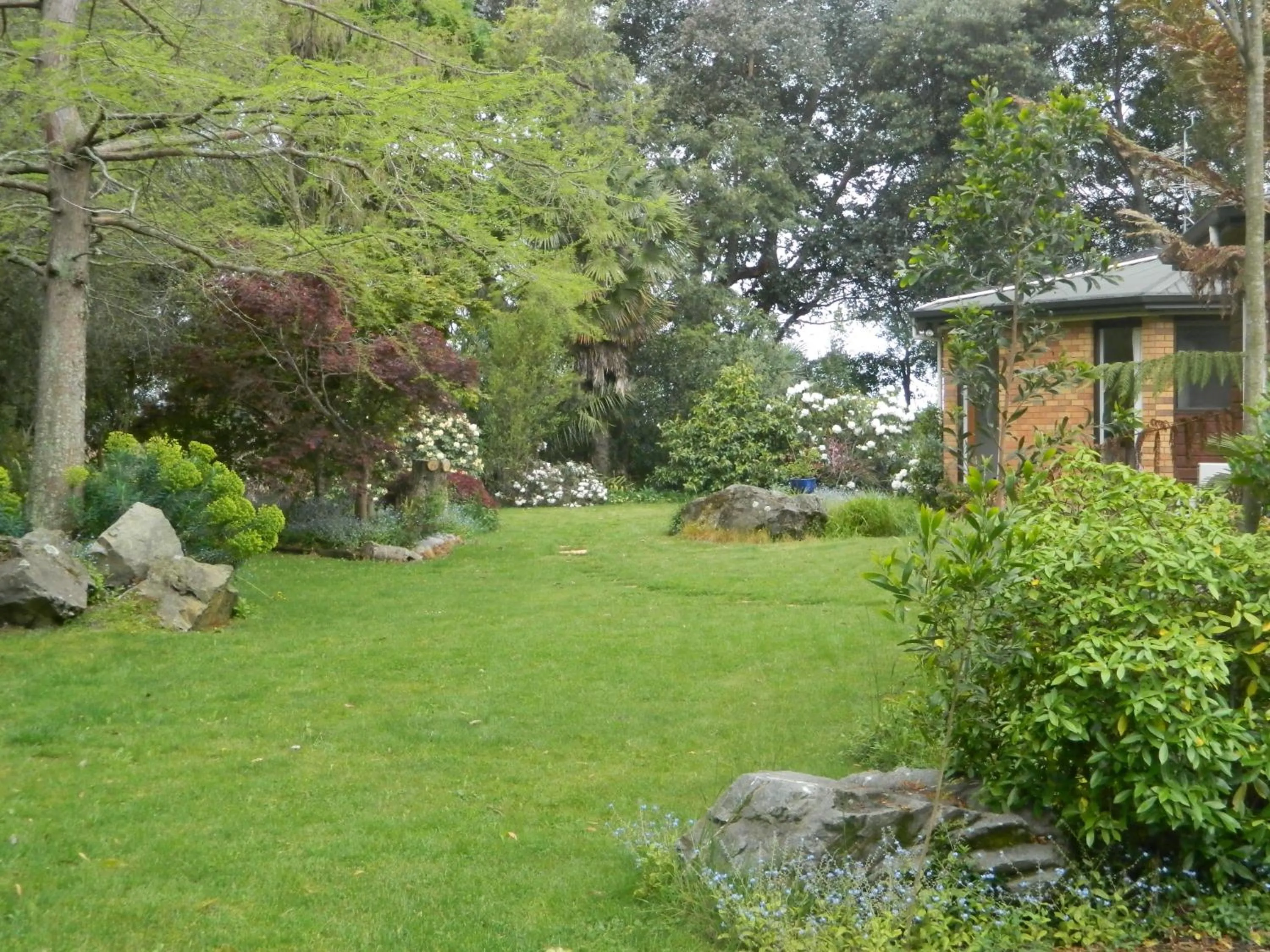 Garden in Antares Homestay