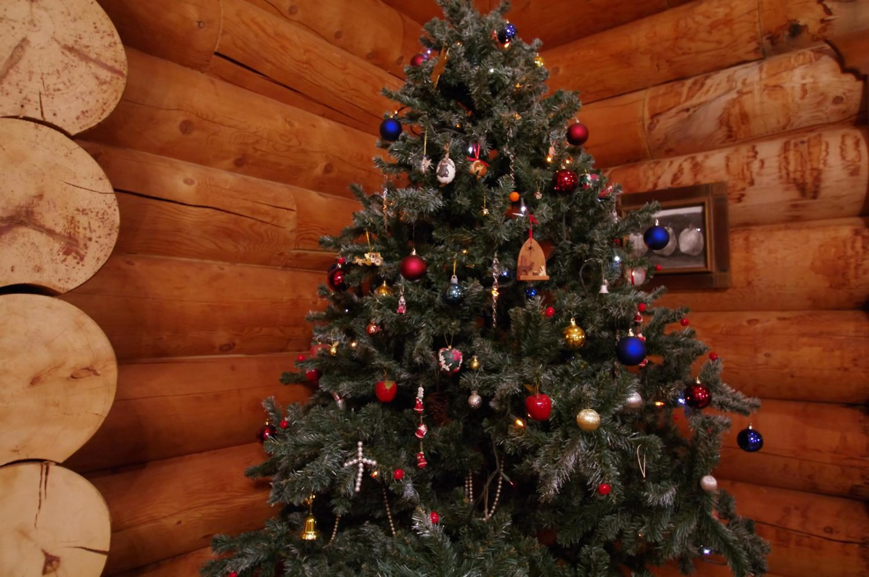 Restaurant/places to eat in Tombouctou