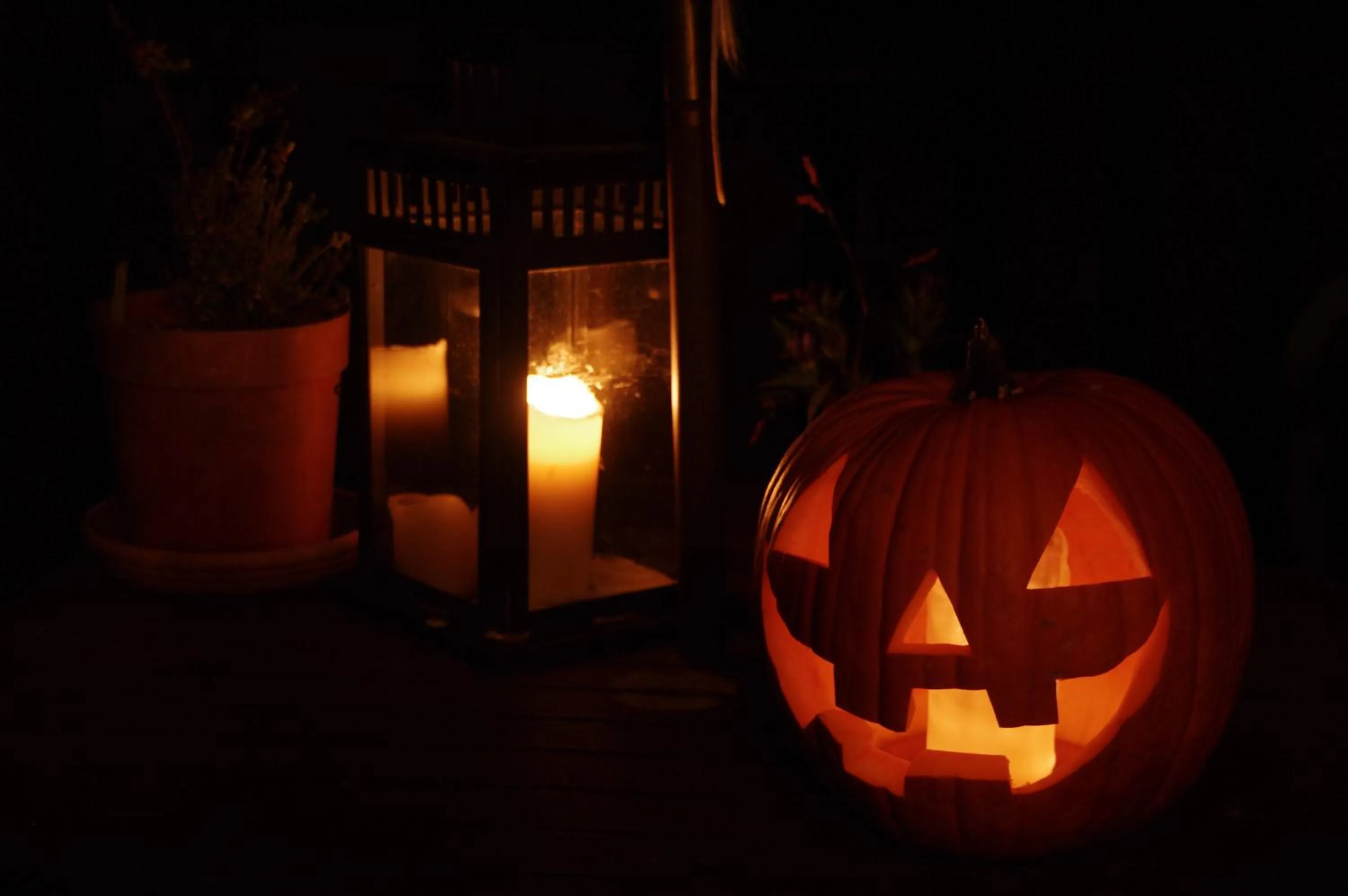 Garden in Tombouctou
