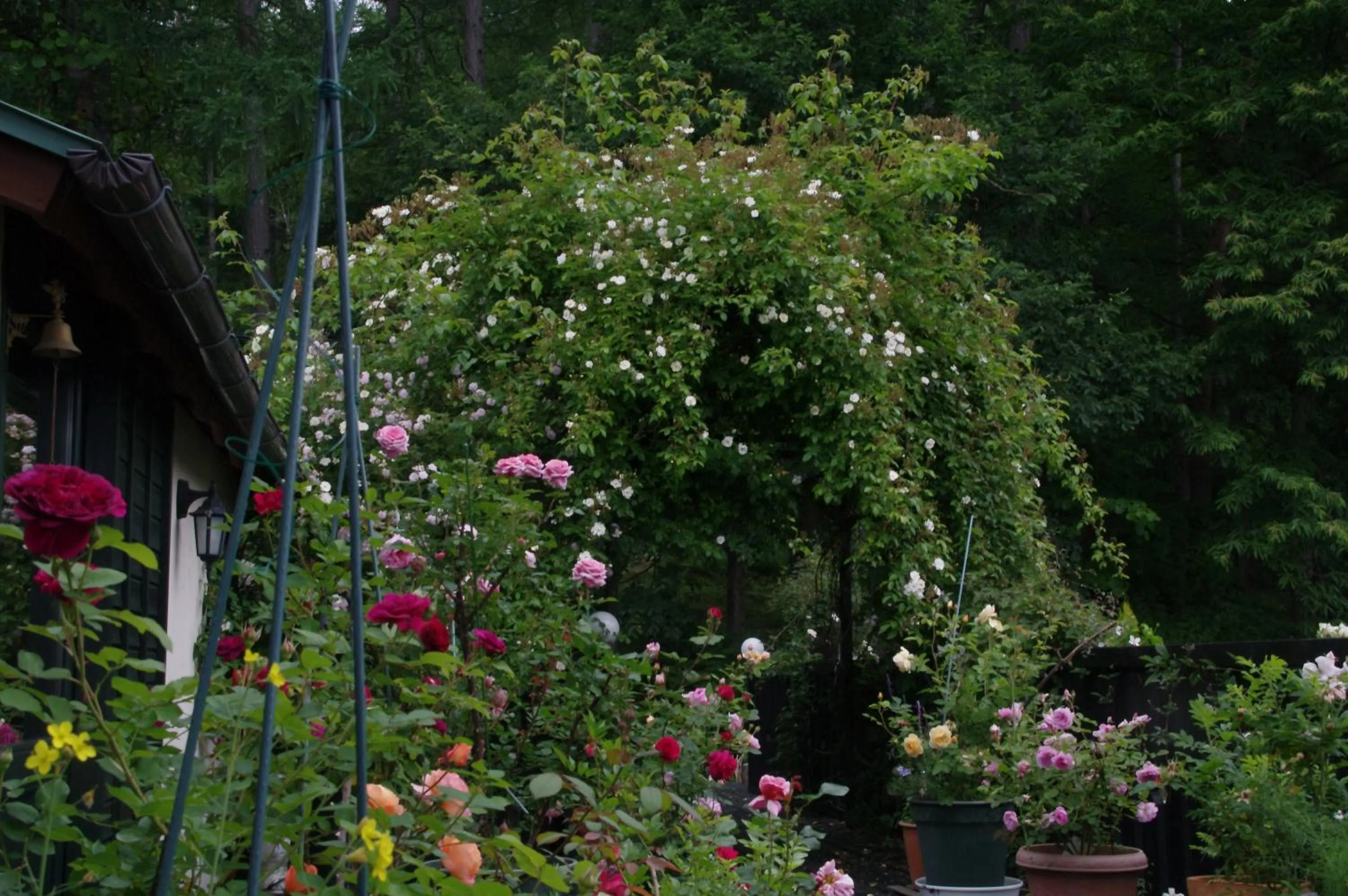 Summer in Tombouctou