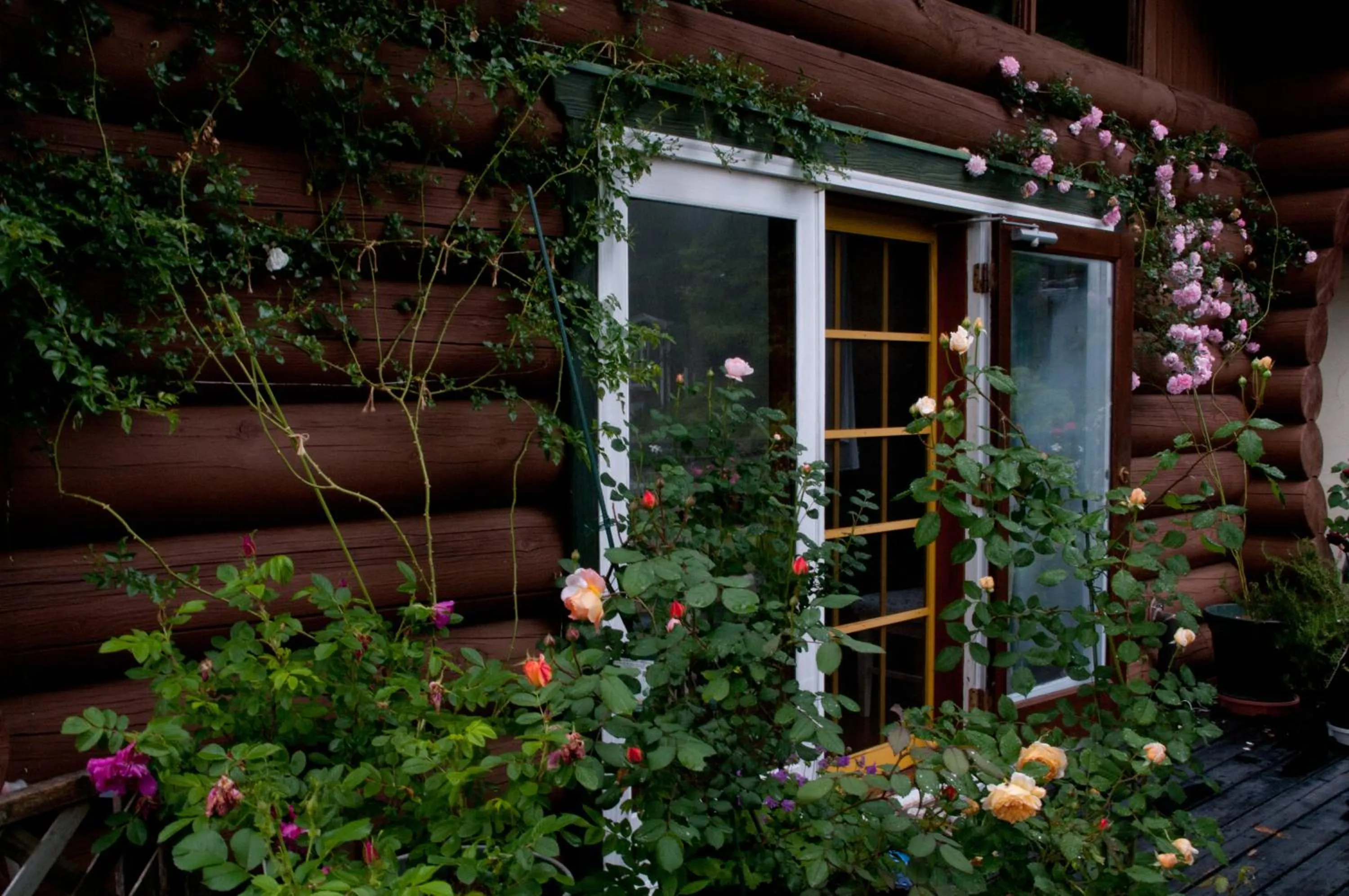Facade/entrance in Tombouctou