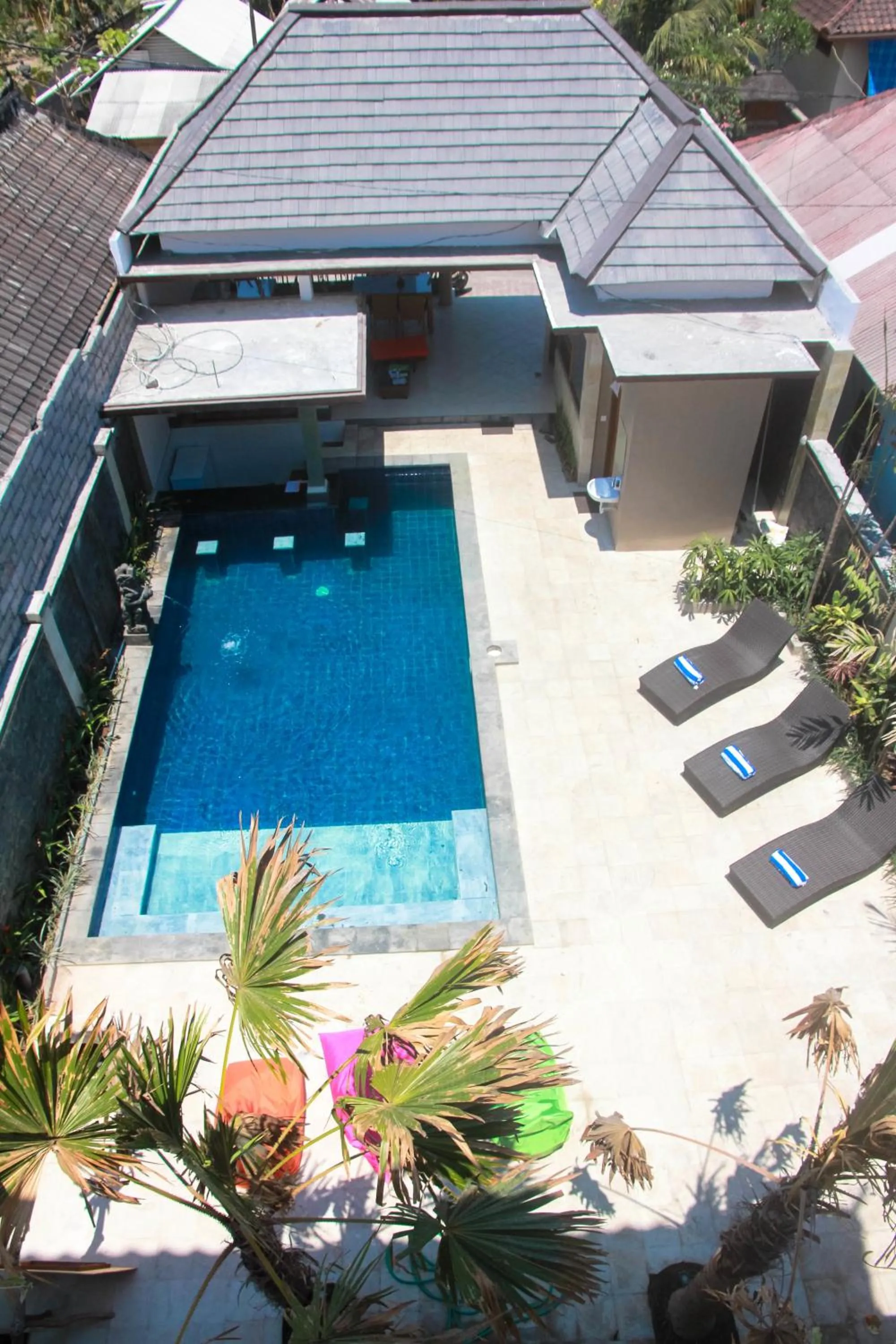 Swimming pool in D'Camel Hotel Lembongan