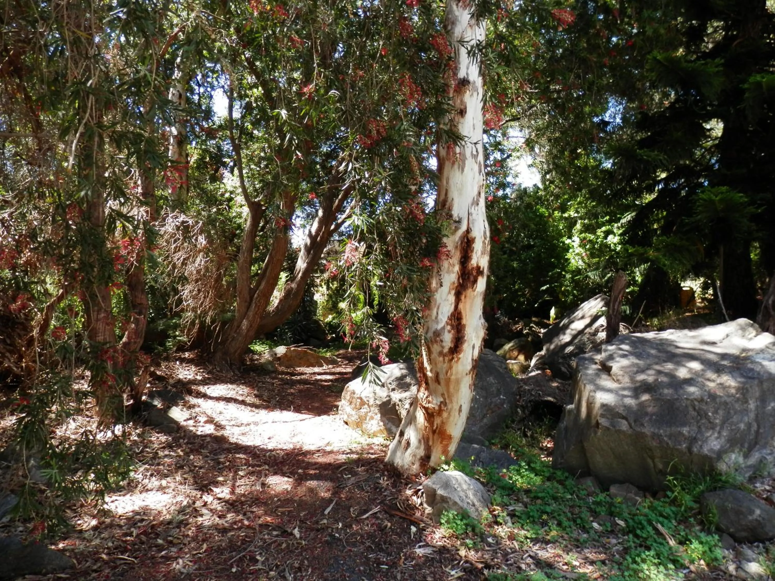 Garden in The Hideaway Luxury B&B Retreat