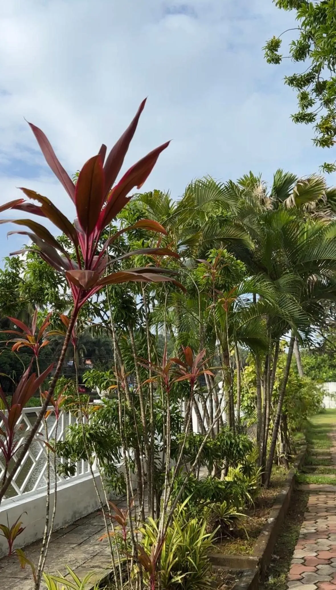 Spring in Hotel Riverside