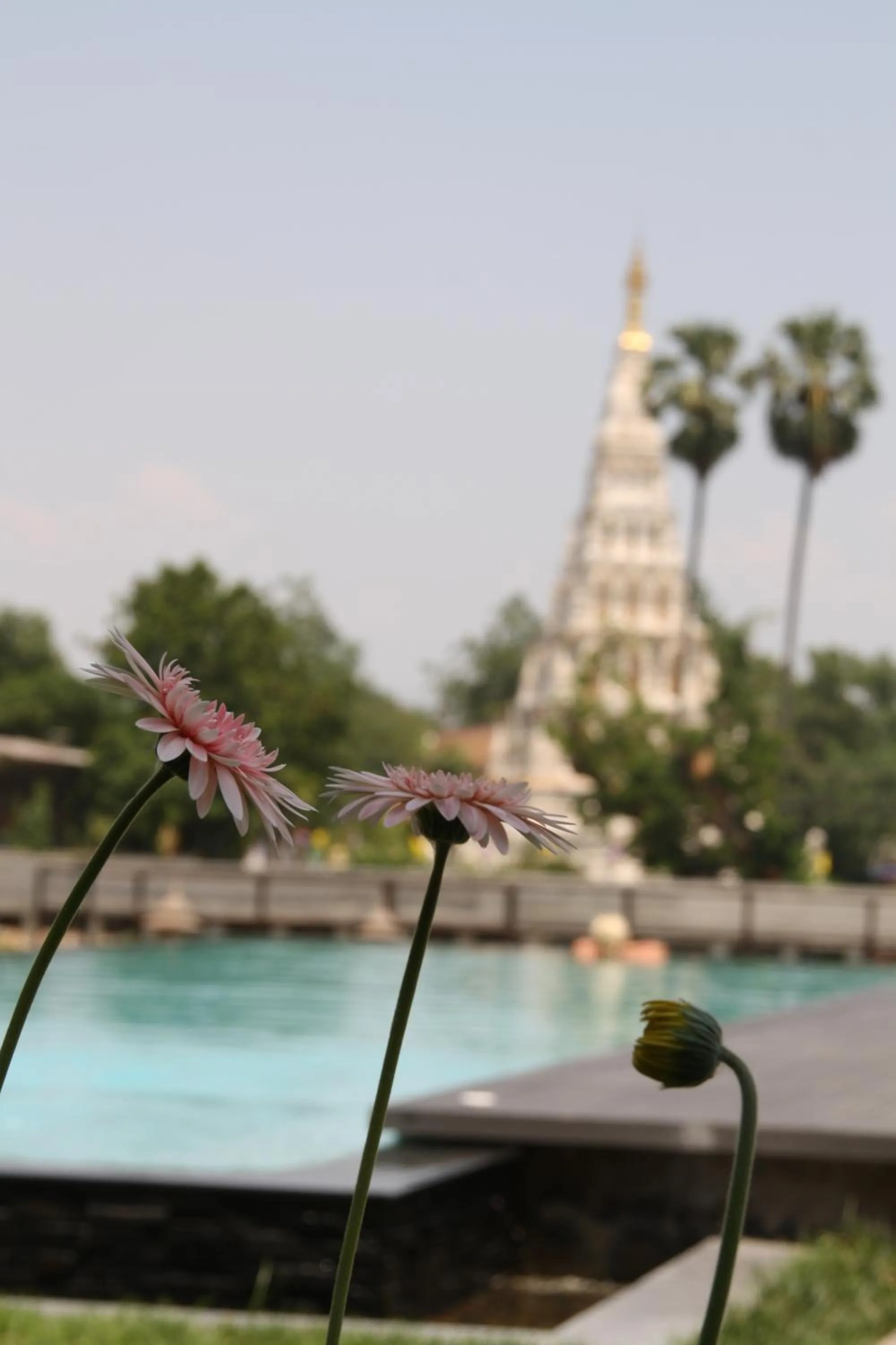 View (from property/room) in Maraya Hotel & Resort