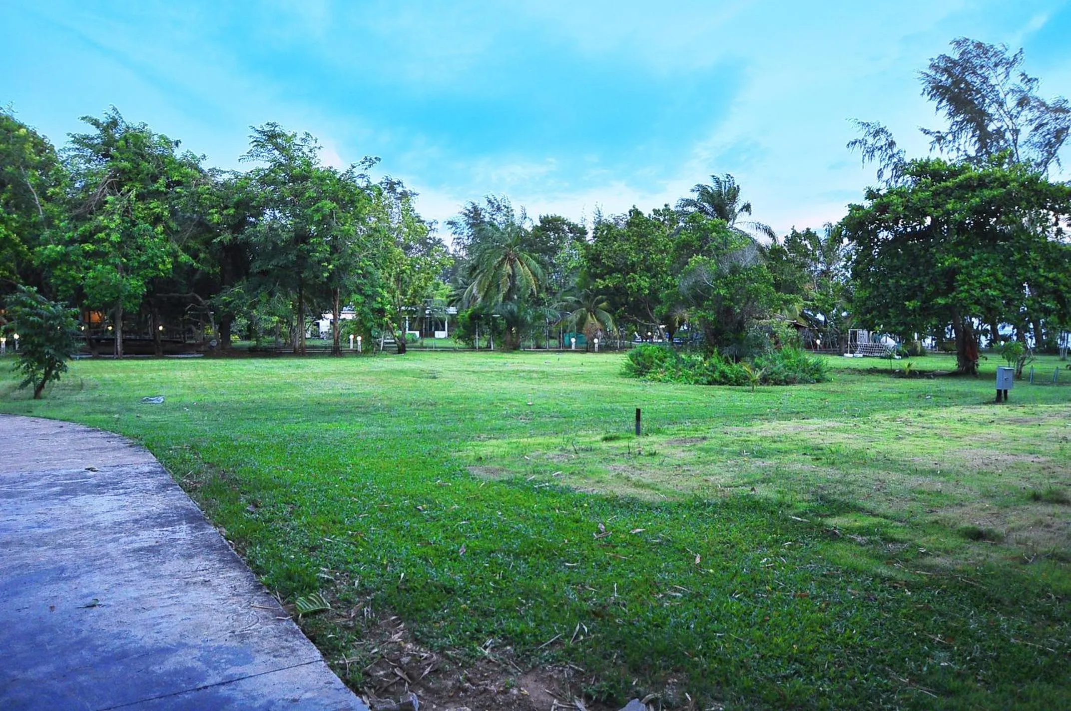 Garden in AM Heritage Room