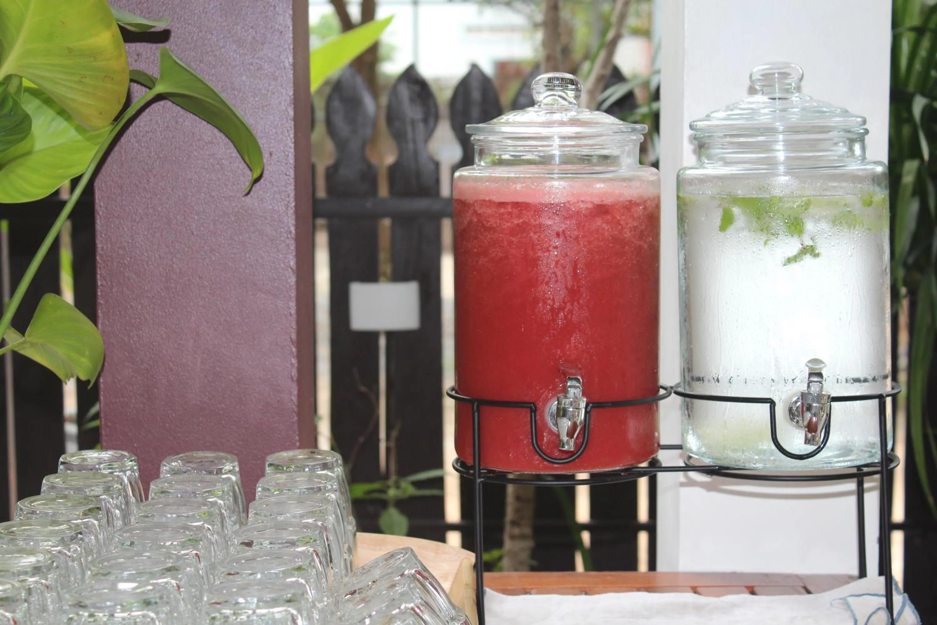 Food and drinks in Moringa Tree Maison