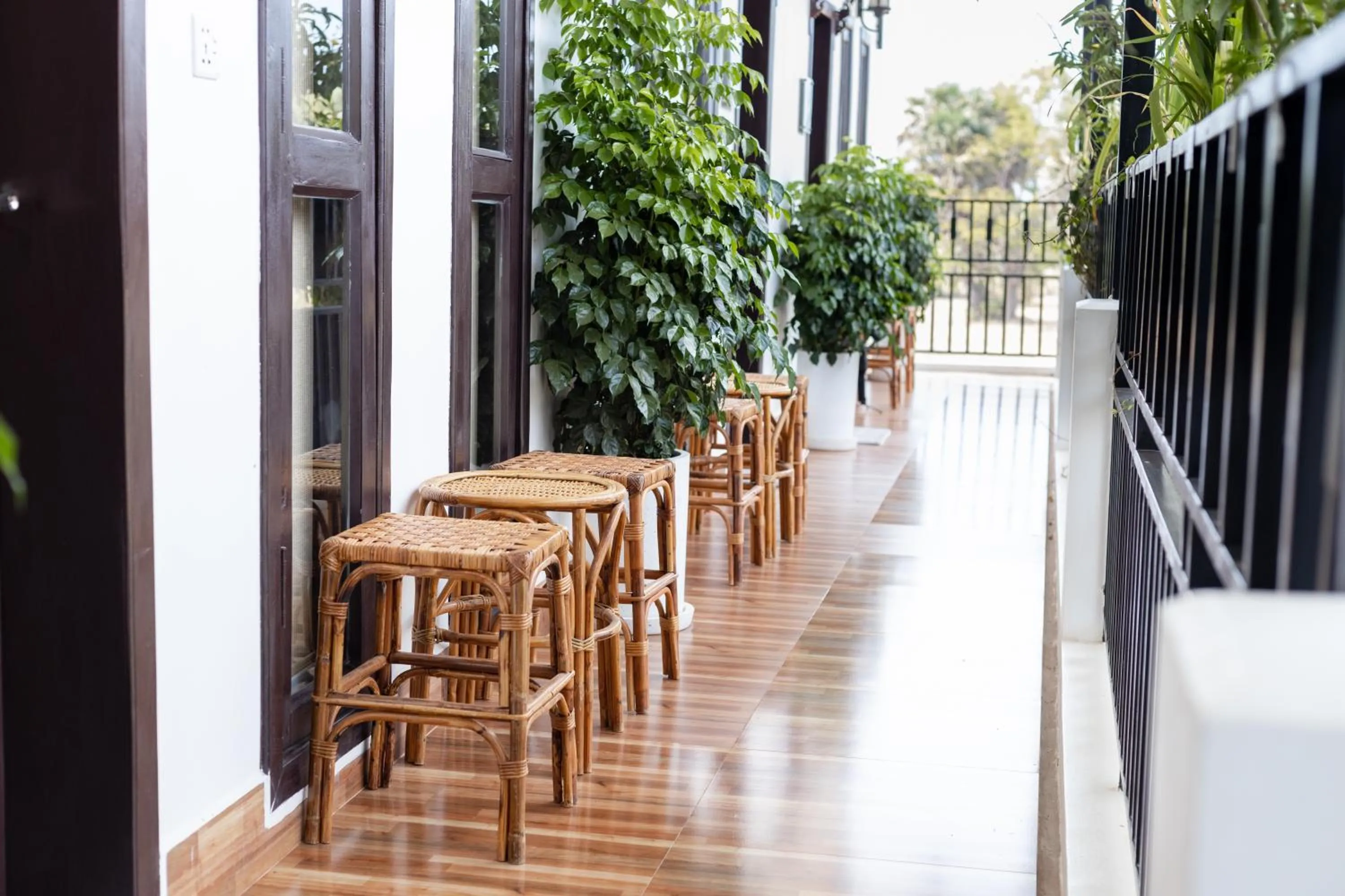 View (from property/room) in Moringa Tree Maison