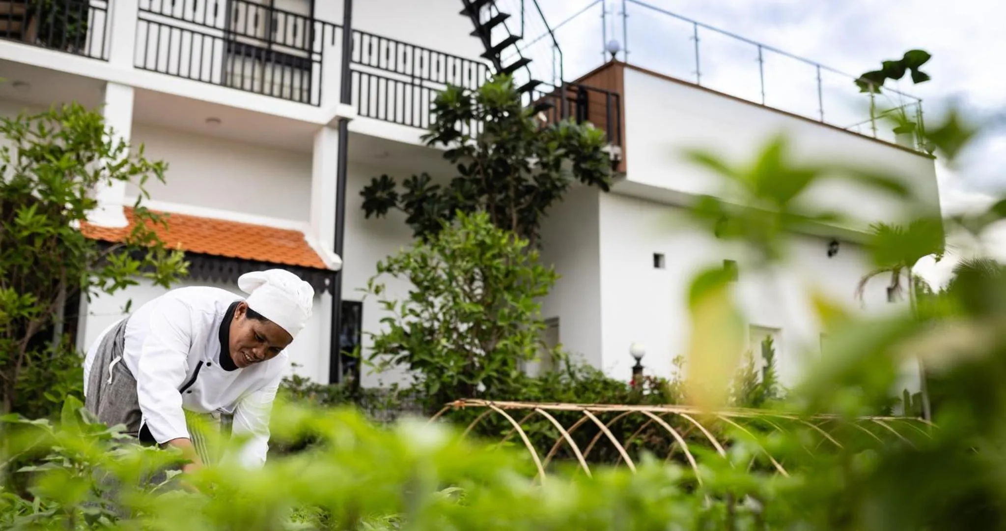 Landmark view in Moringa Tree Maison