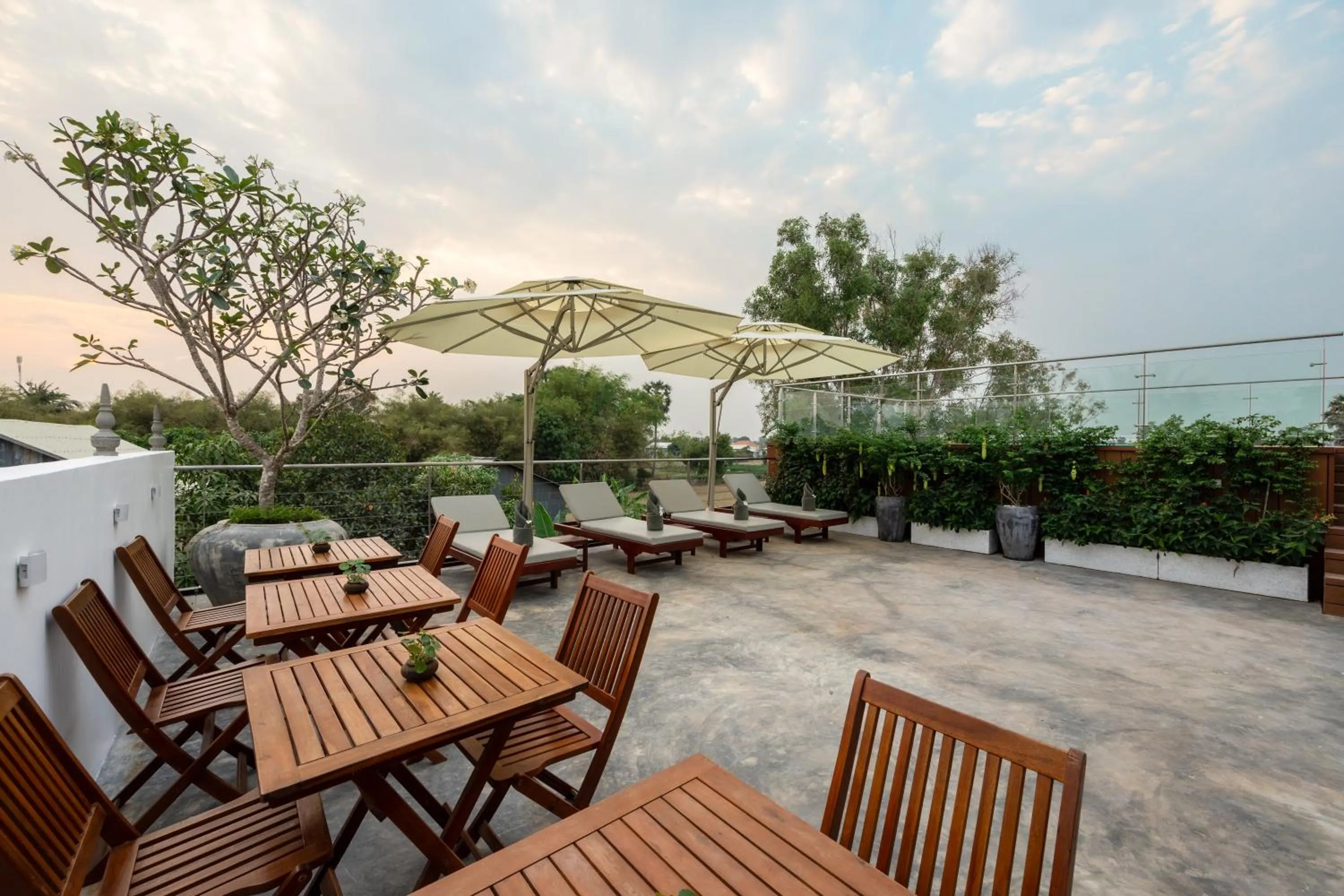 Swimming pool in Moringa Tree Maison