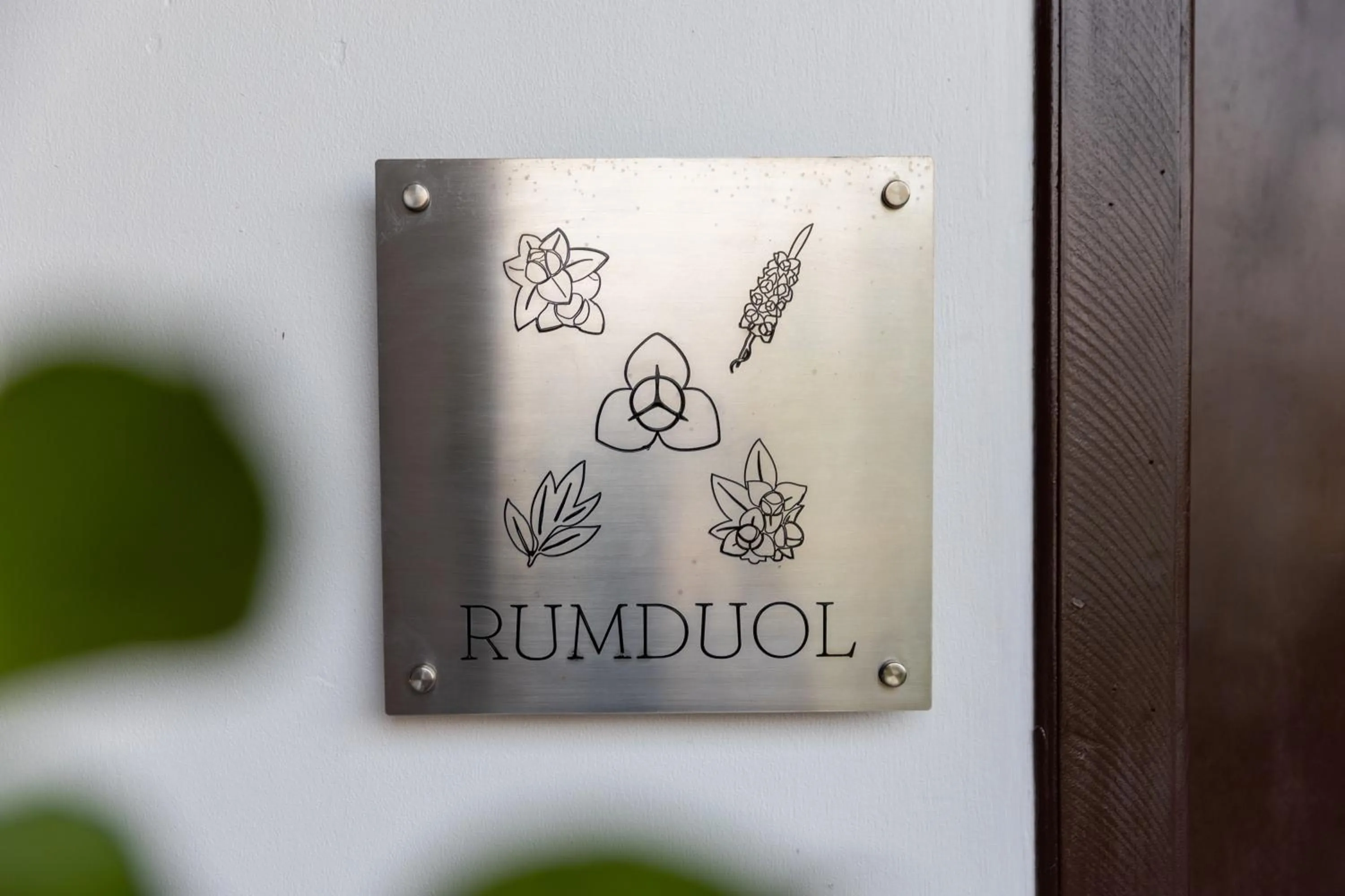 Guests in Moringa Tree Maison