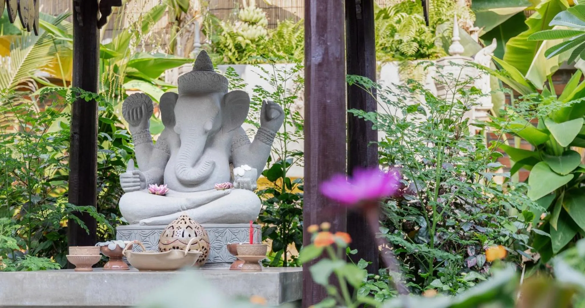 Garden in Moringa Tree Maison