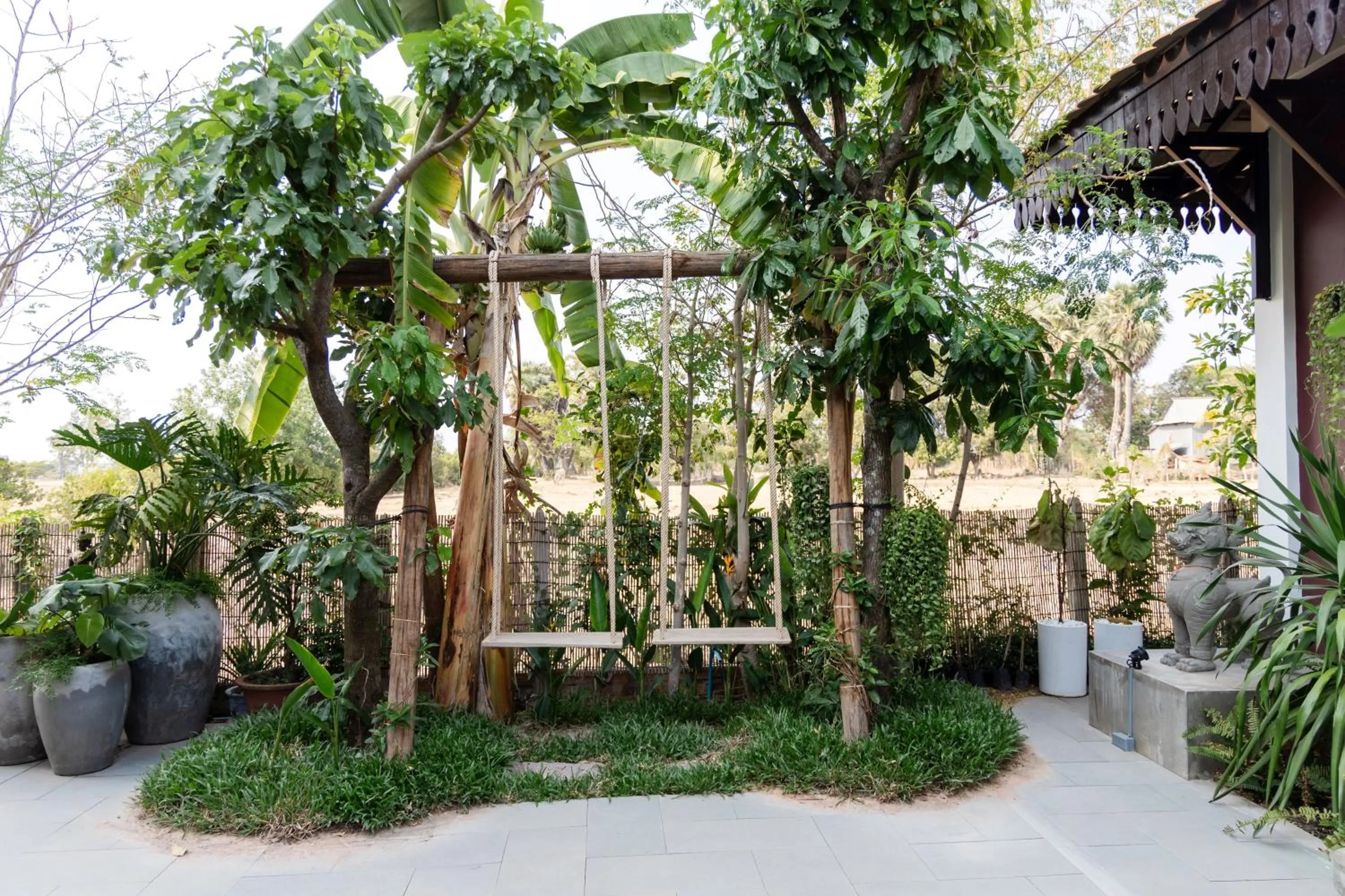 Garden in Moringa Tree Maison