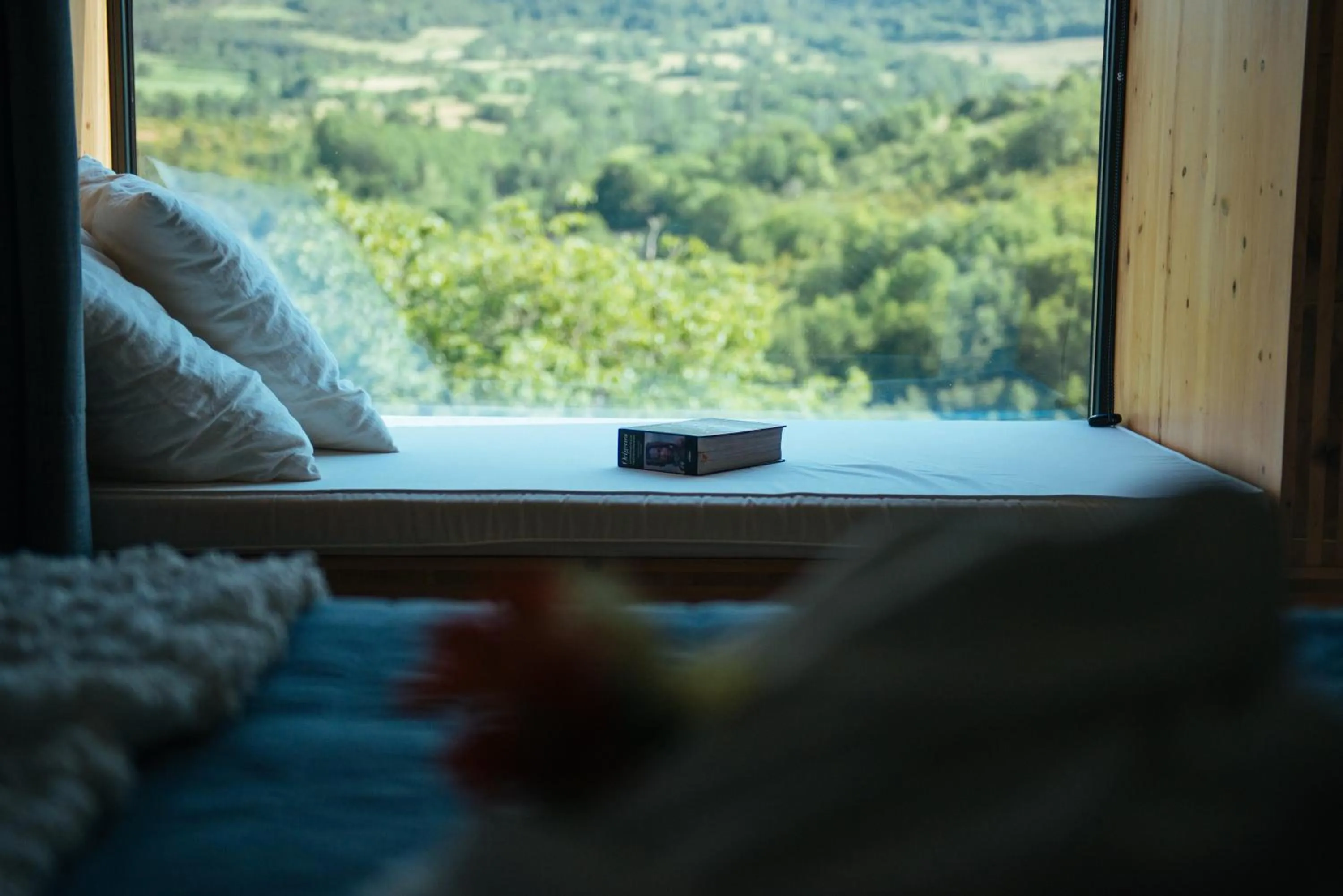 View (from property/room) in Hotel Terra Bonansa