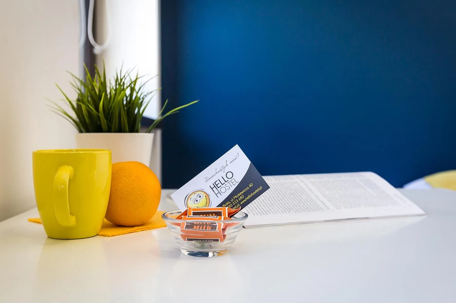 Hello Hostel & Apartments