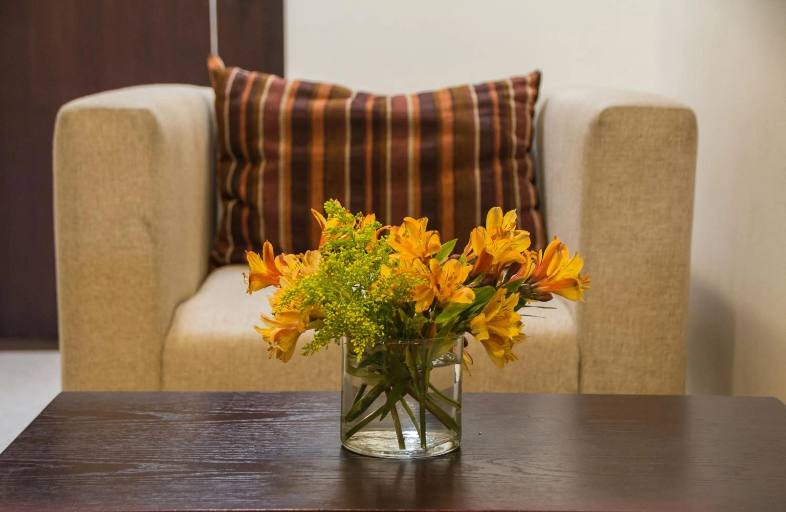 Living room in Hotel Mayis
